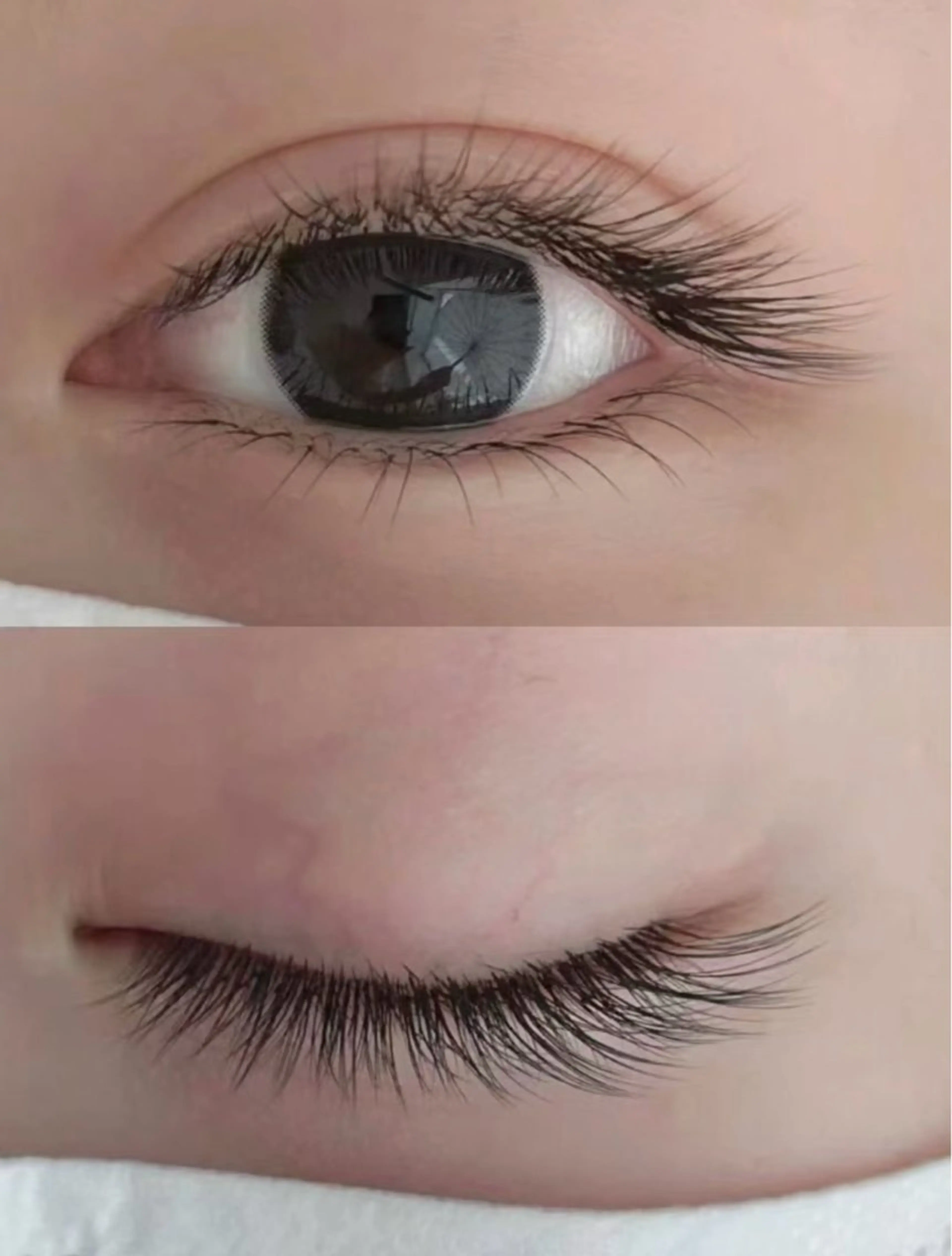 マツエク・マツパ 付け放題 フラットラッシュ Ｍ salon アイラッシュのマツエク・マツパデザイン