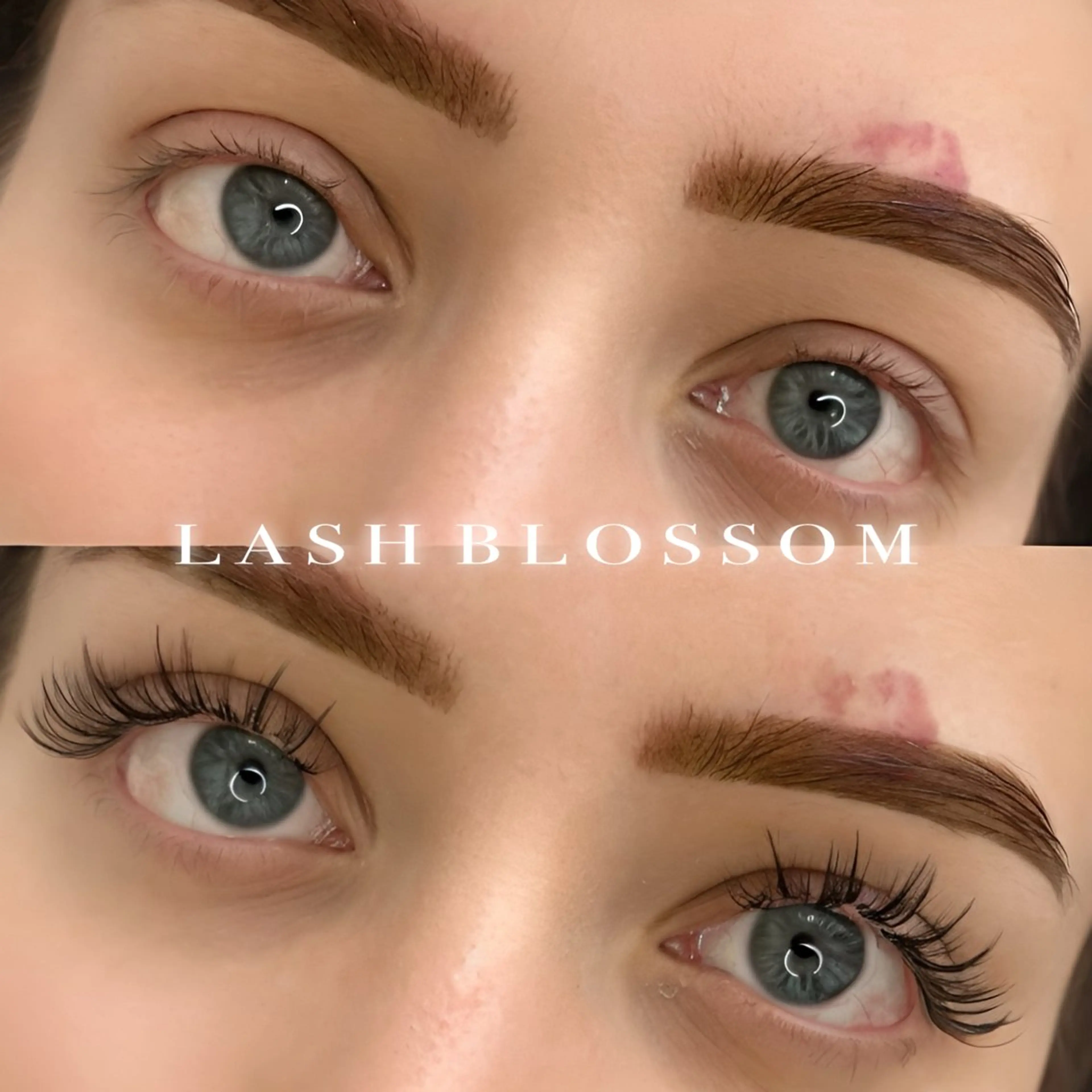 ウィスピーラッシュ/ アニメデザインの写真