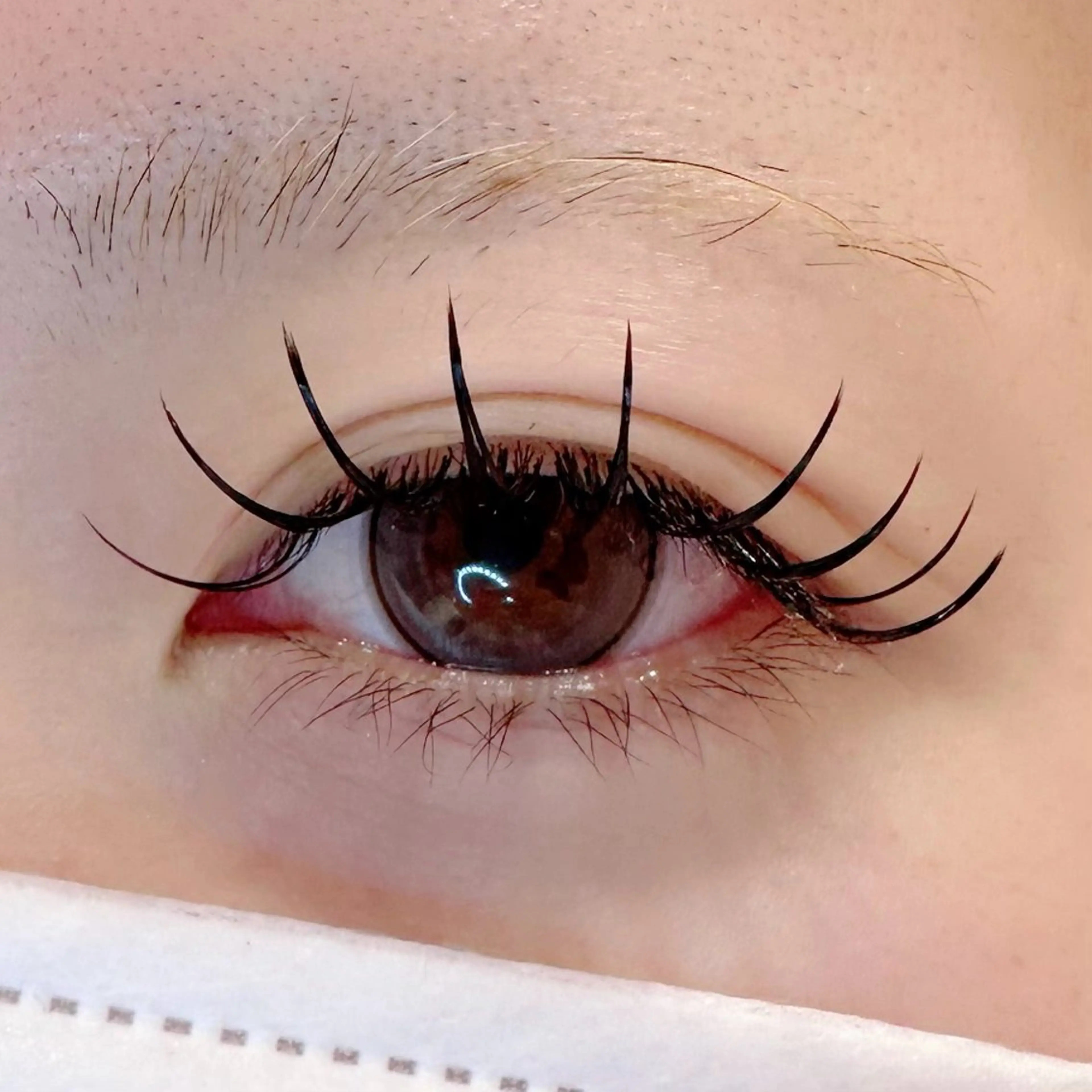 マツエク・マツパ Le  LUXE eyelashのマツエク・マツパデザイン