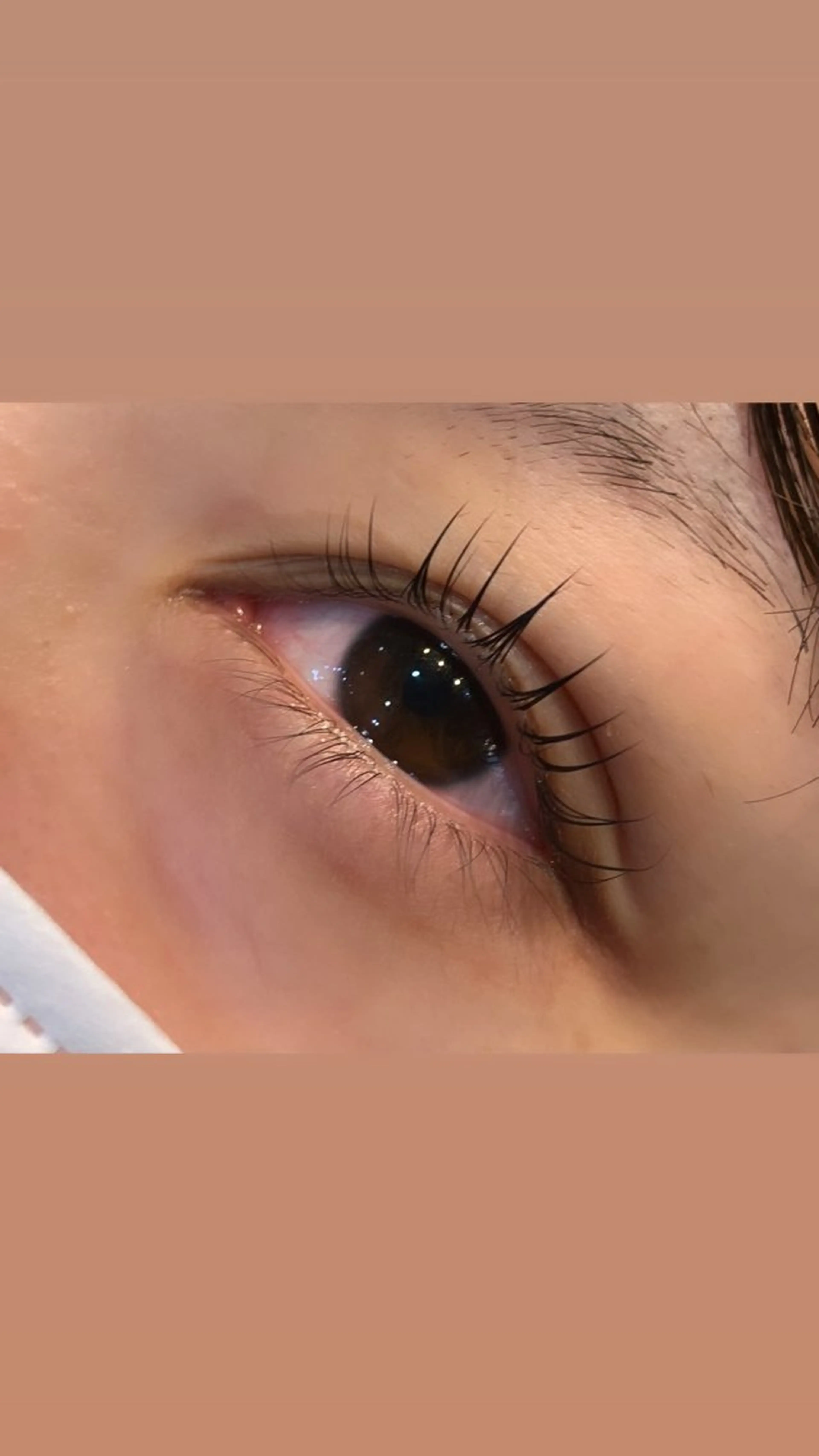 マツエク・マツパ パリジェンヌラッシュリフト hirakawa makoの眉毛・アイブロウイメージ