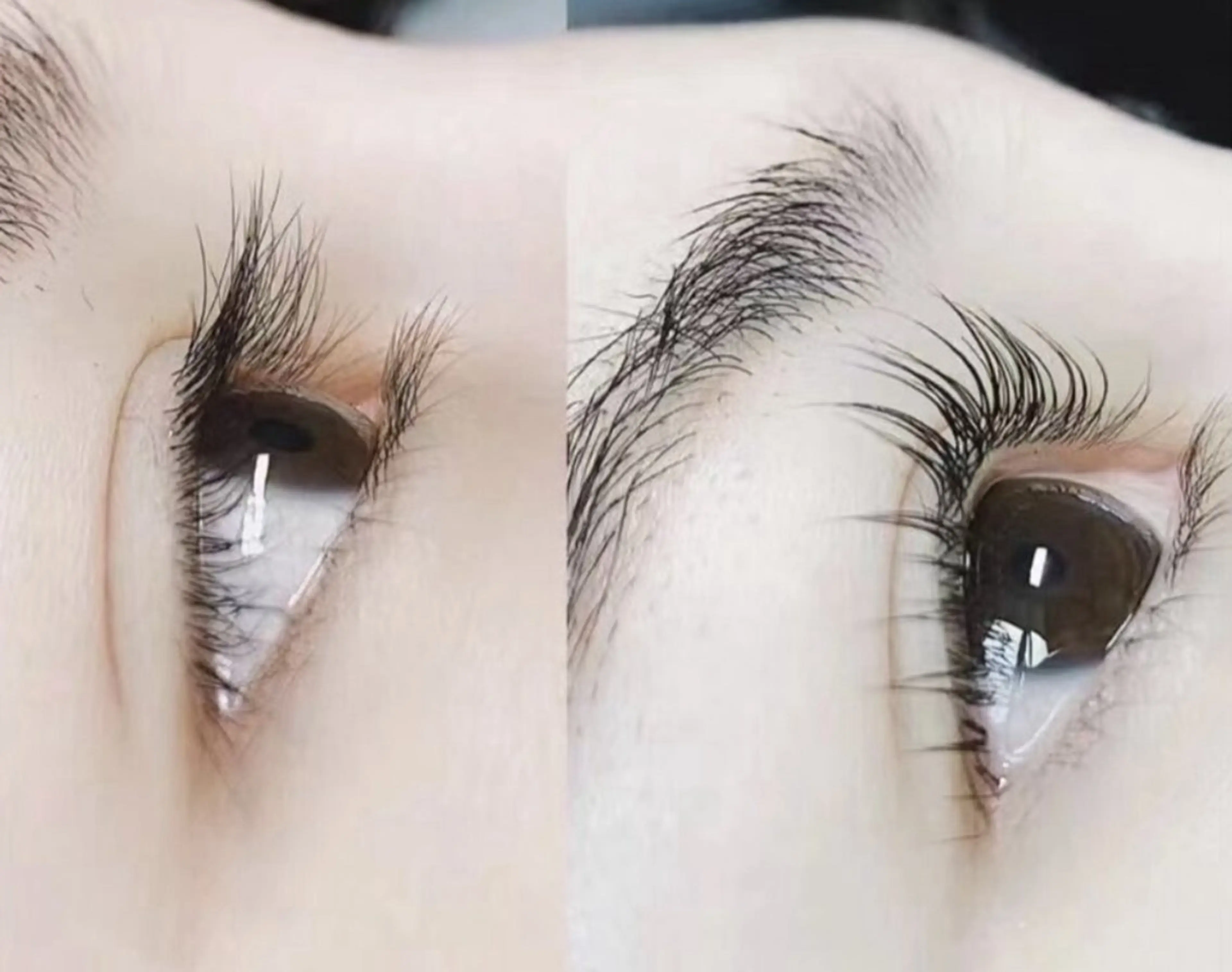 パーマラッシュリフト上(トリートメント付き)の写真