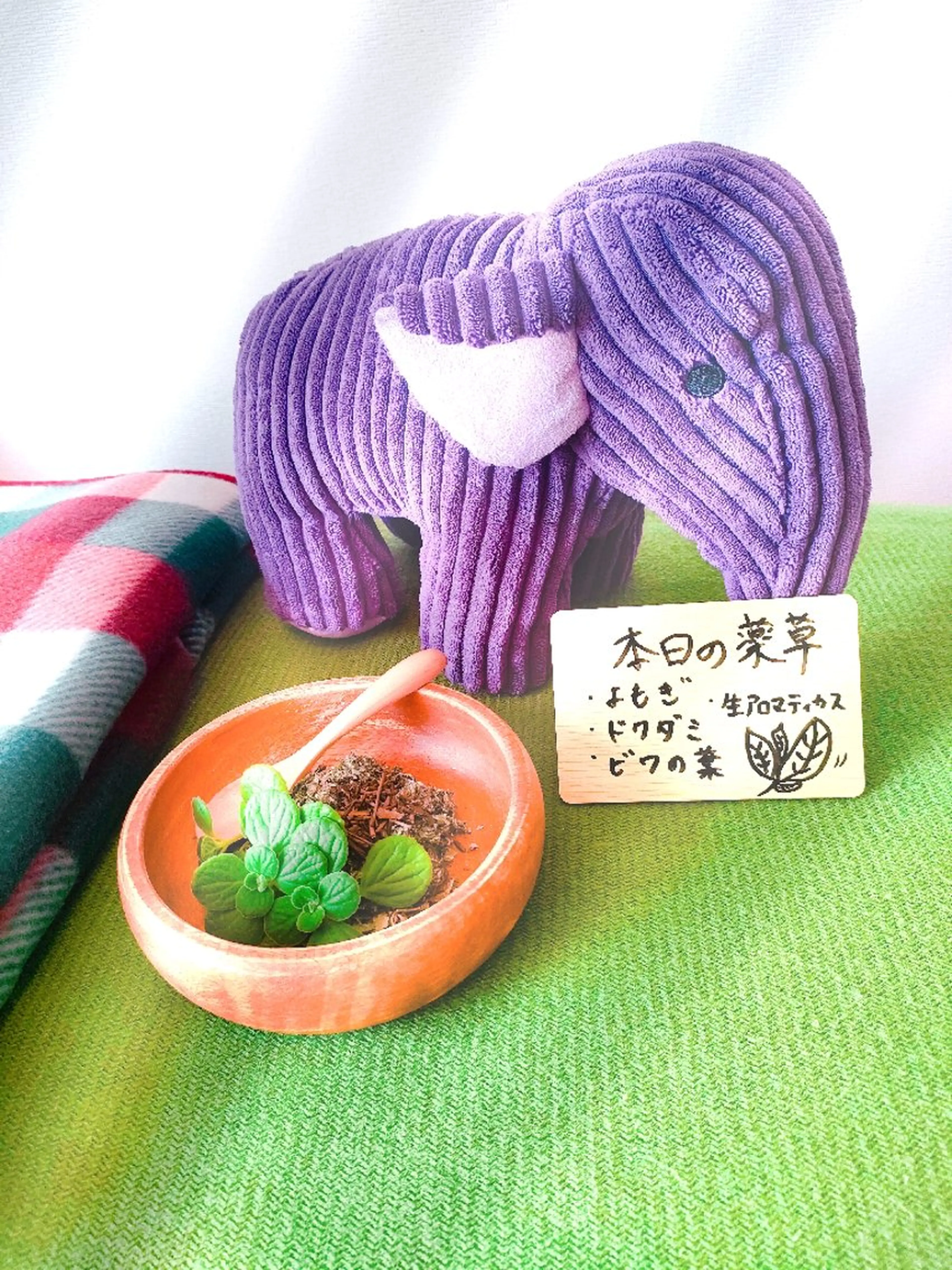 薬草蒸し🌿40分（よもぎ蒸し）の写真