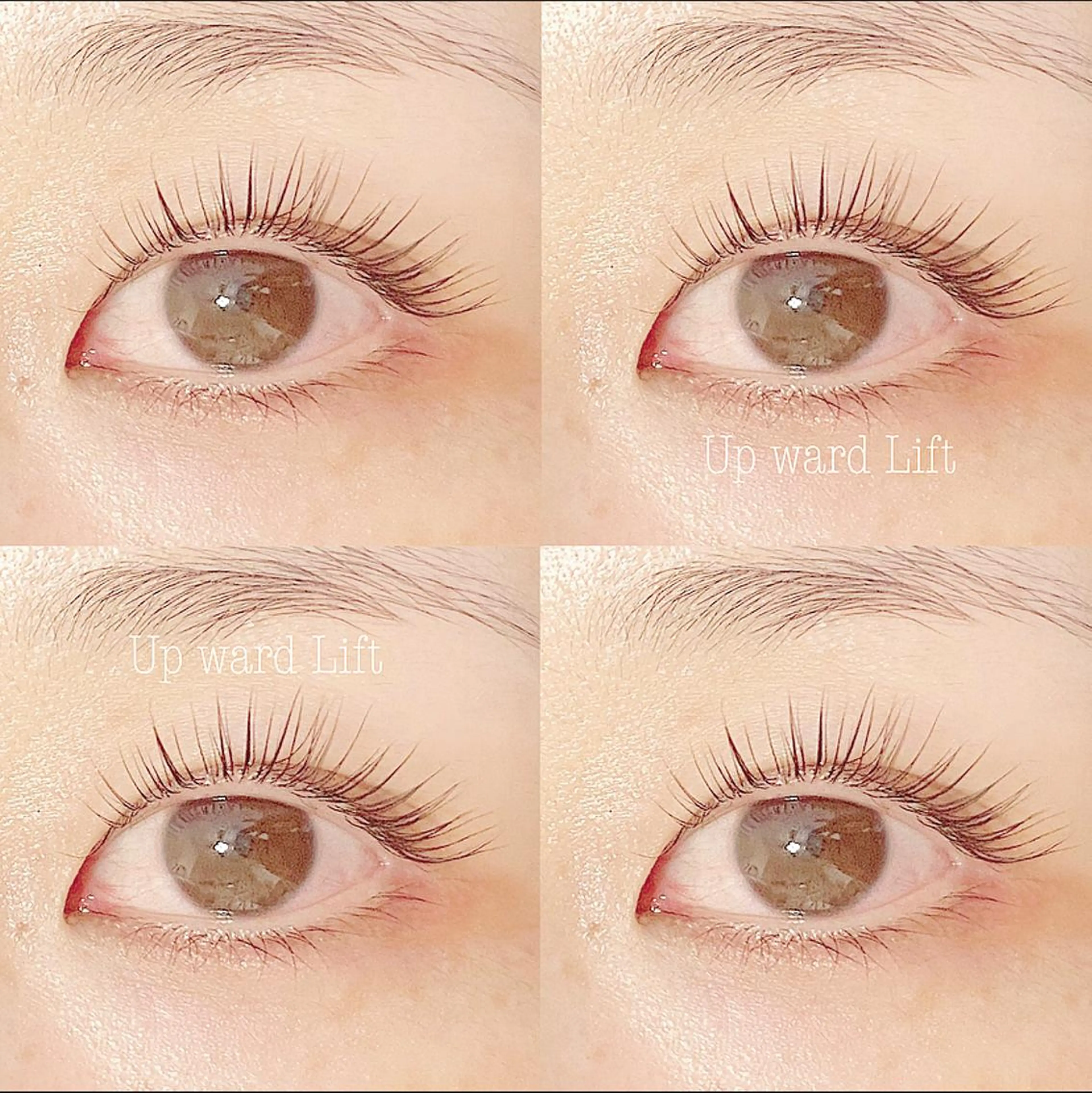 マツエク・マツパ Rexy. RIKACOのマツエク・マツパデザイン