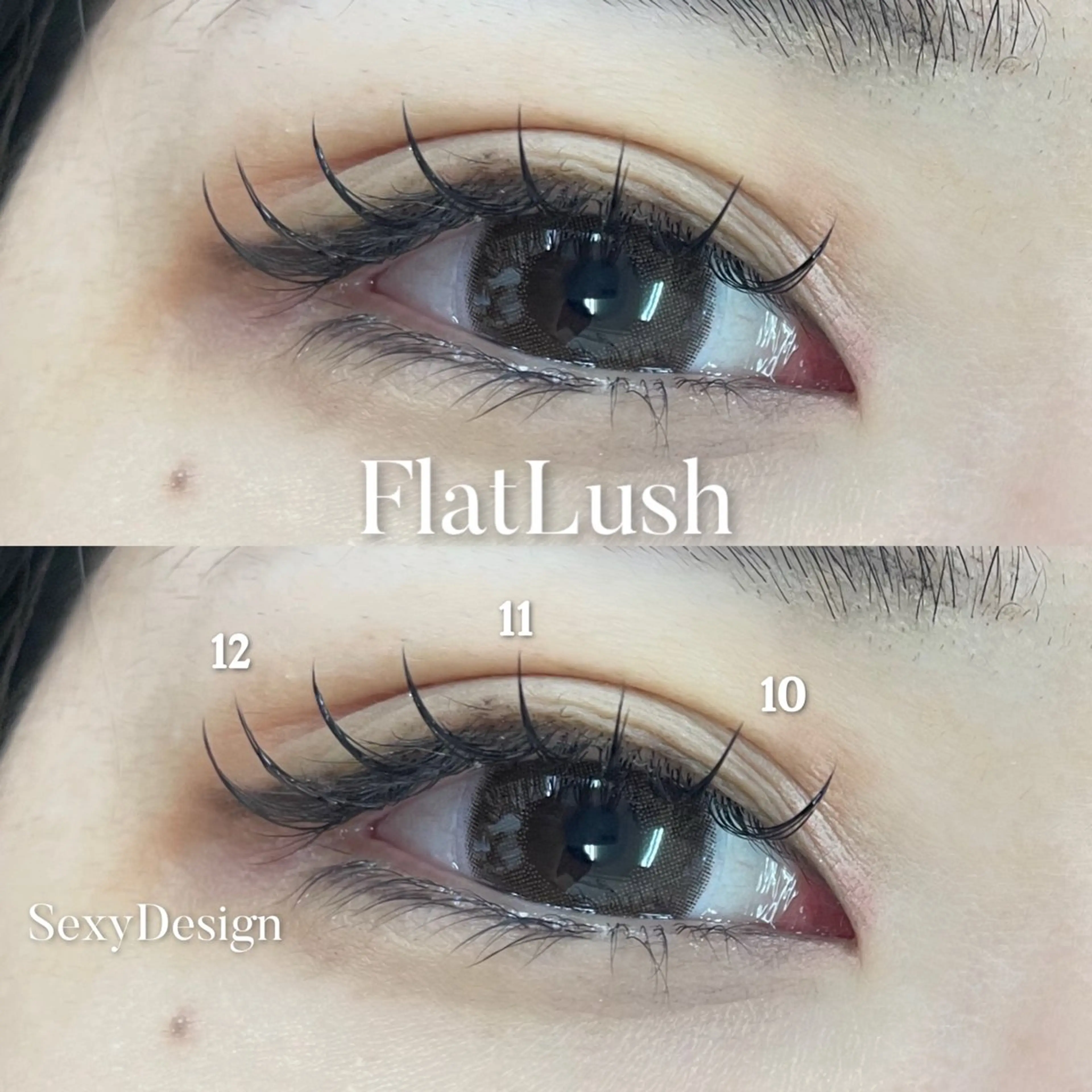 フラットラッシュ 100本🍊 束感仕上げ🌞コーティング🤧高円寺/中野/阿佐ヶ谷🔆の写真