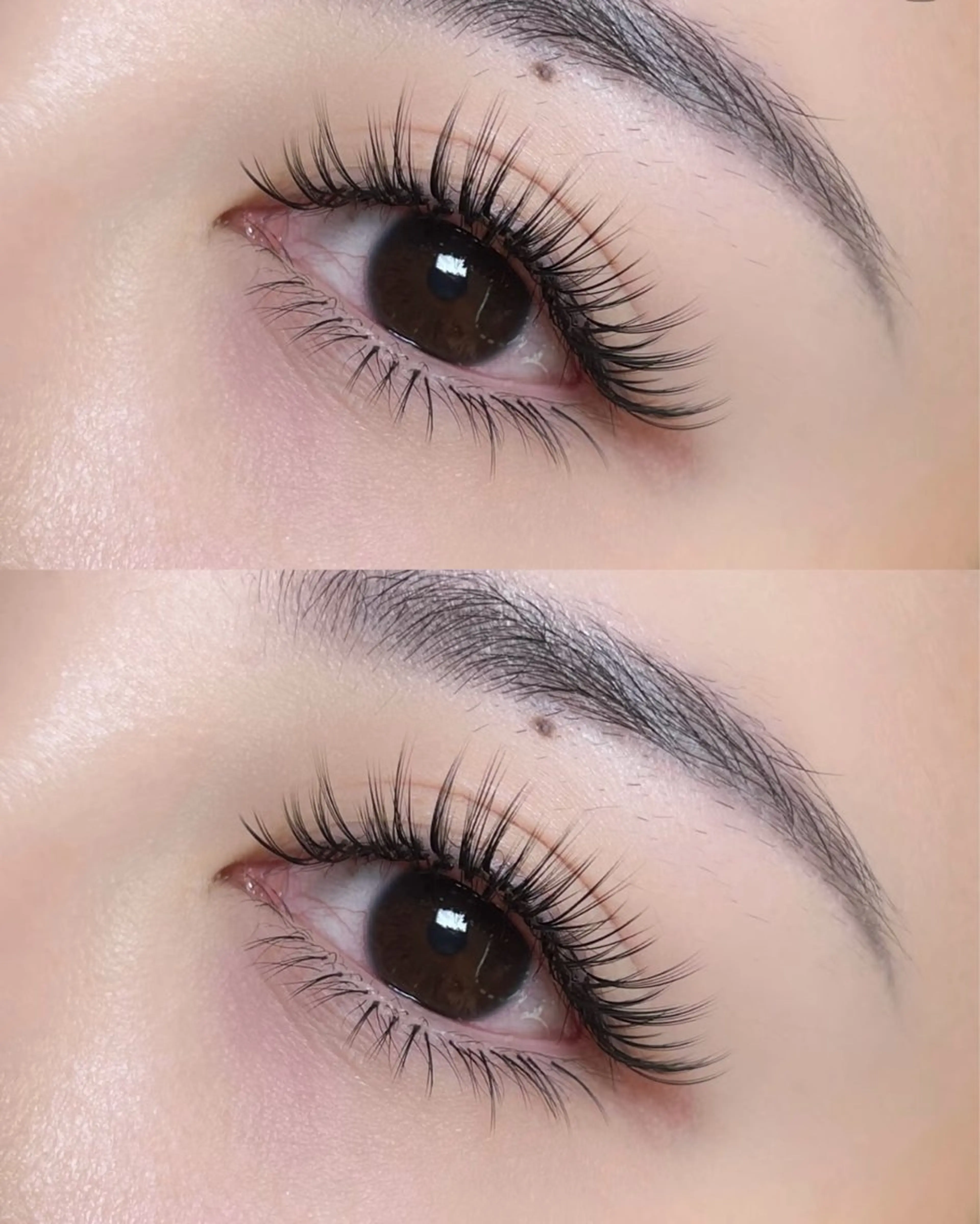 マツエク・マツパ ボリュームラッシュ マツエク ルチア所属・ルチア💞 luciaのマツエク・マツパデザイン