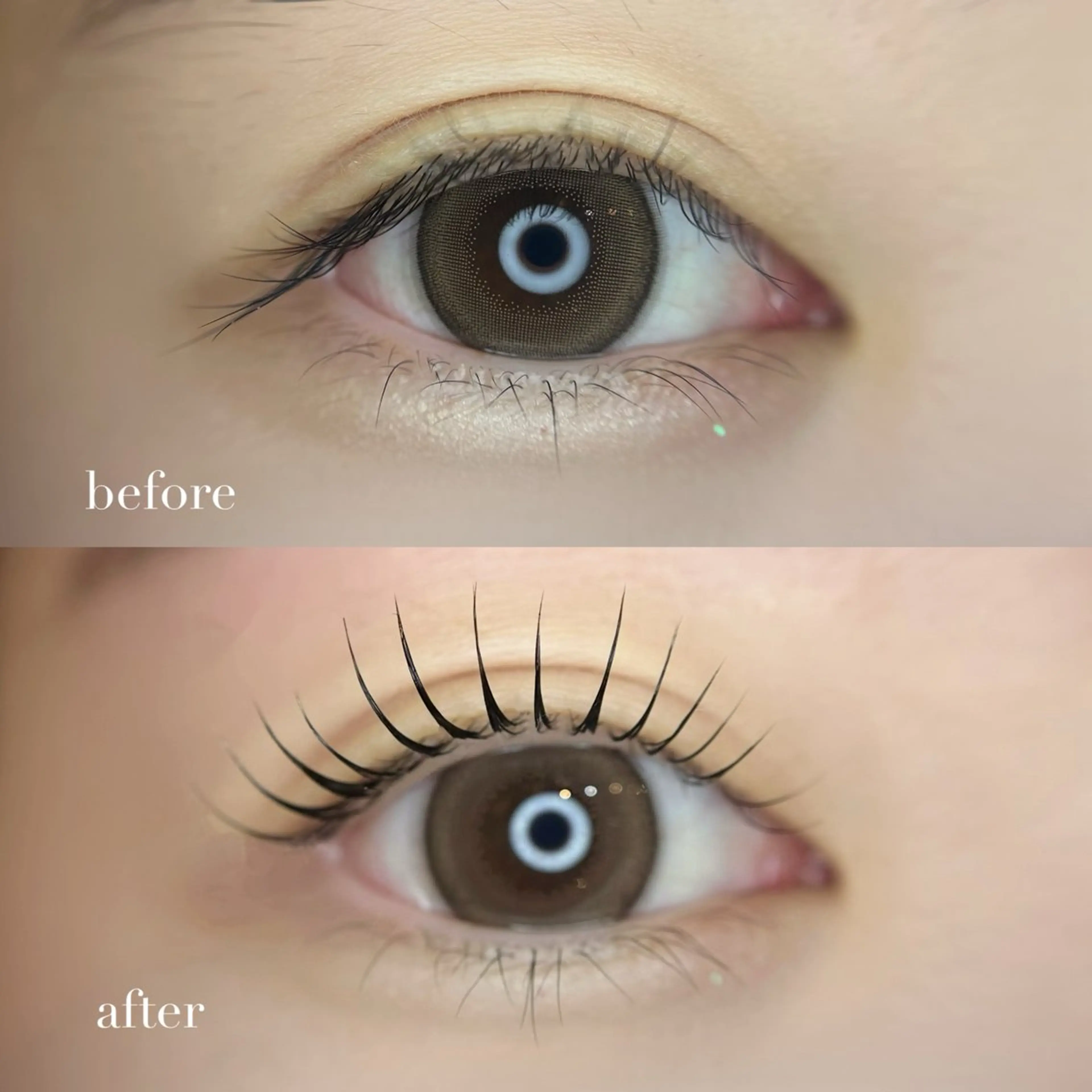 似合わせ🎀選べるデザインまつ毛パーマ ¥5660の写真