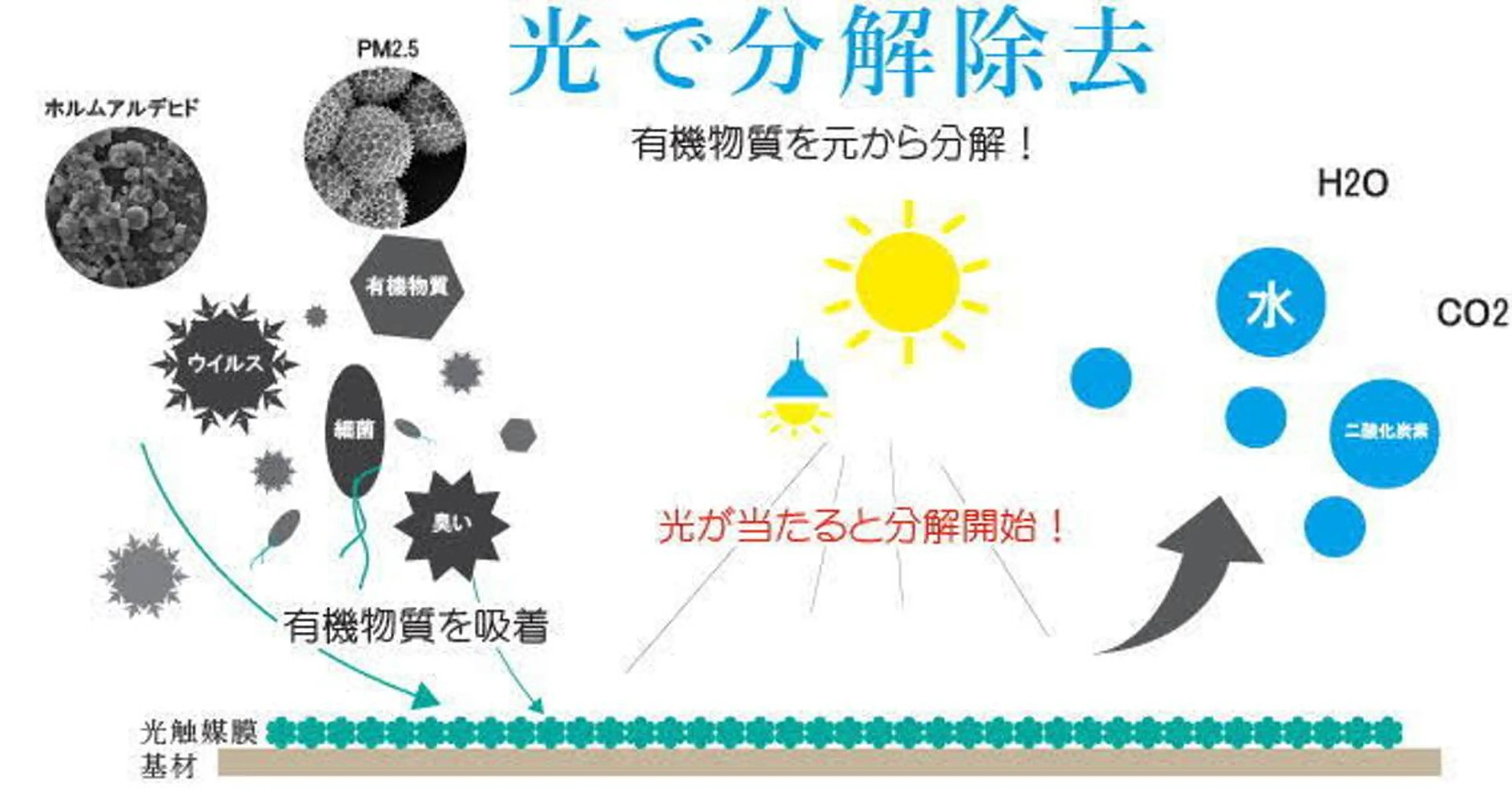 マツエク・マツパ eyelash presh yukaのマツエク・マツパデザイン