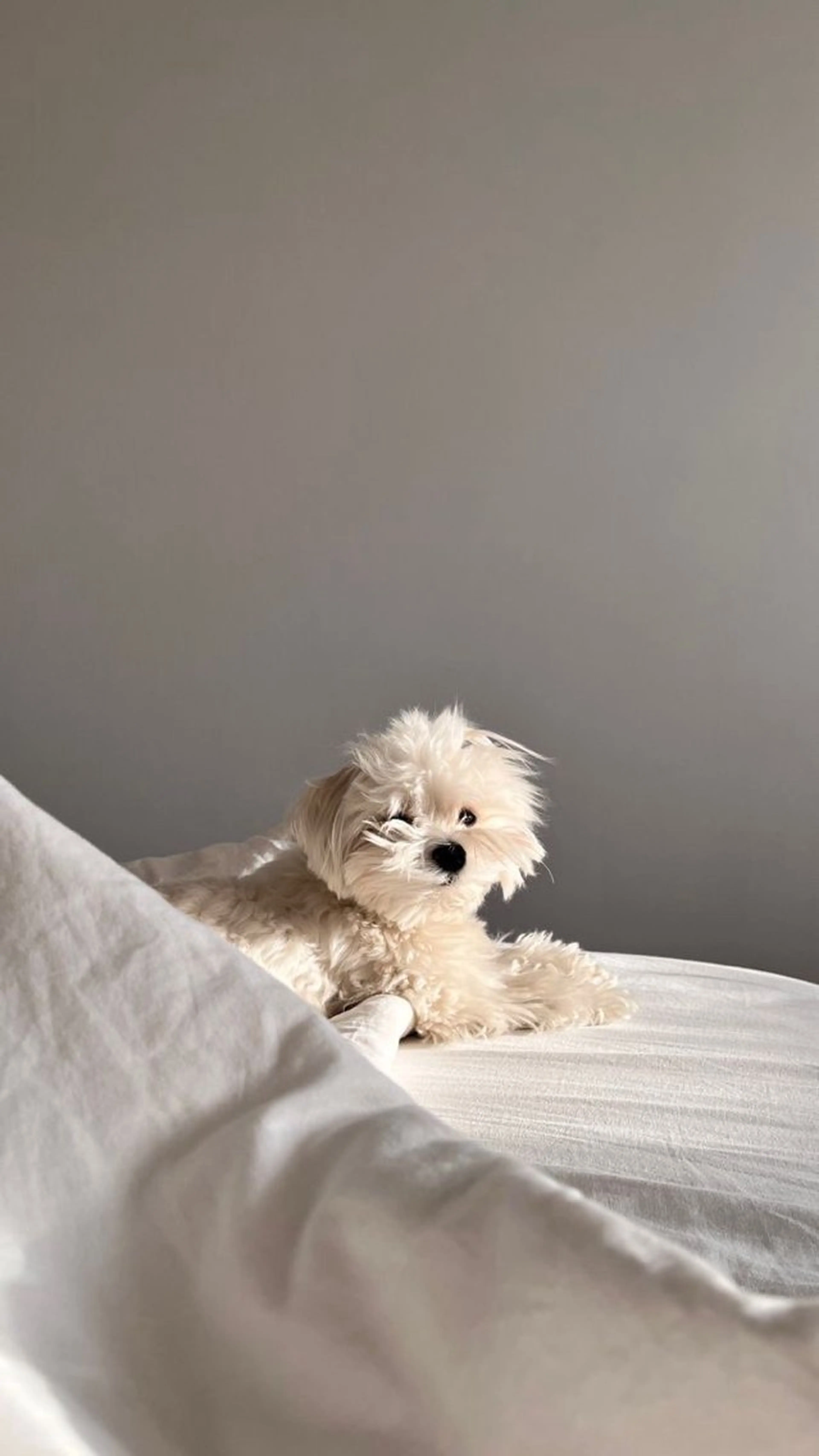 SUNNY 二俣川 yuri🌷のマツエク・マツパデザイン