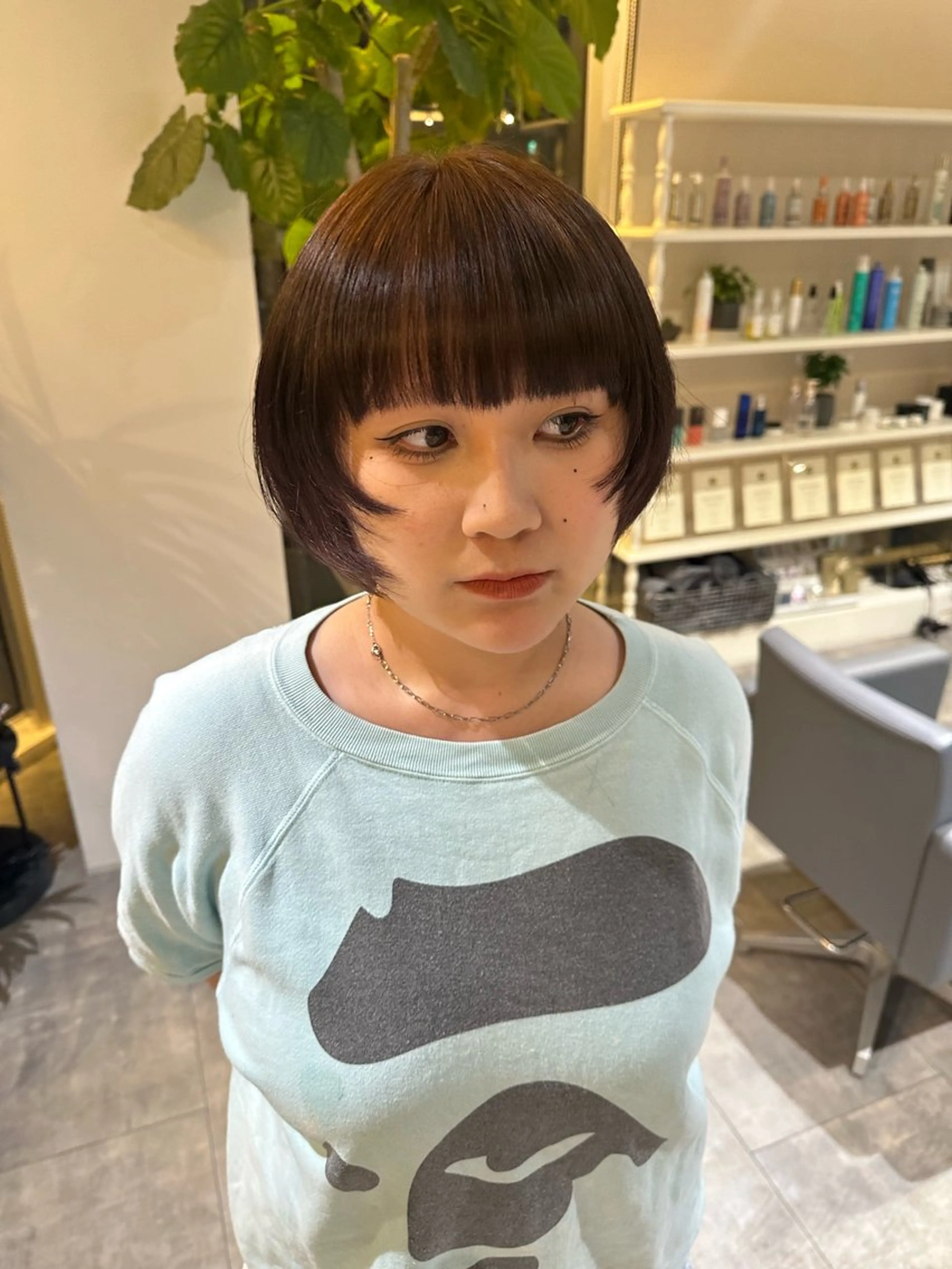 ワンカラーの写真