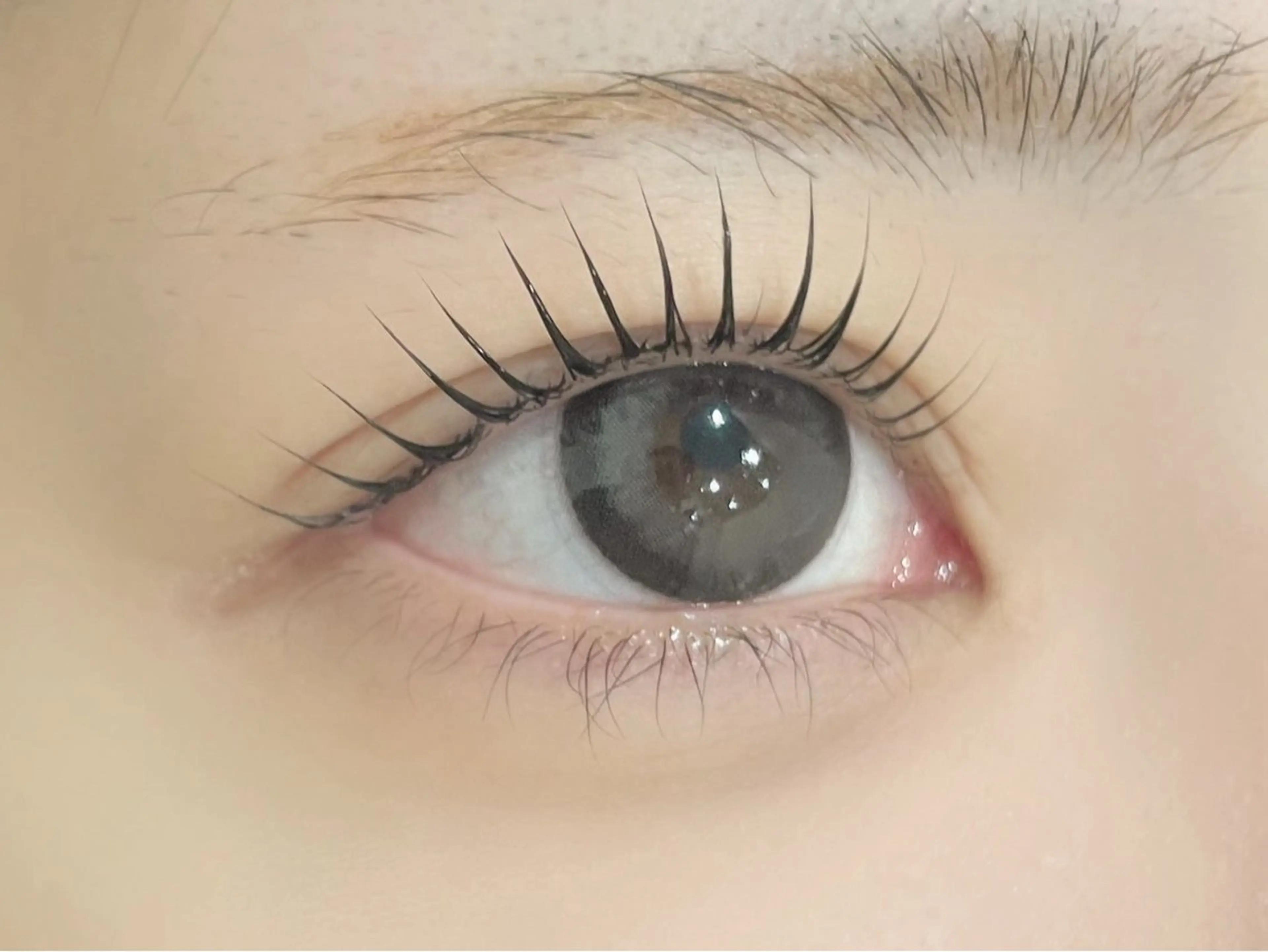 マツエク・マツパ マツパ ❣️高田馬場人気❣️ アイブロウワックスの眉毛・アイブロウイメージ