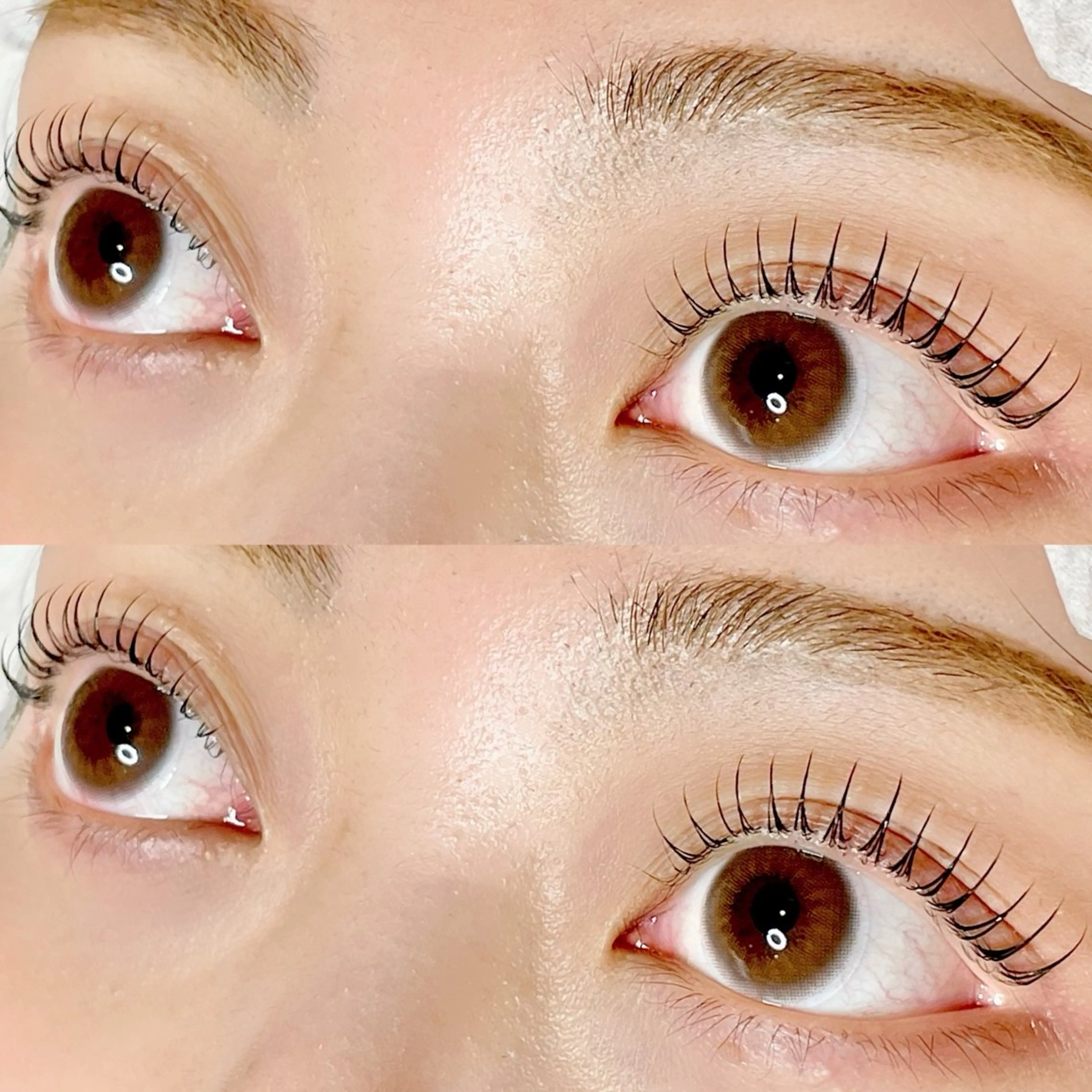 マツエク・マツパ マツパ AYLASH🧡 猪又のマツエク・マツパデザイン