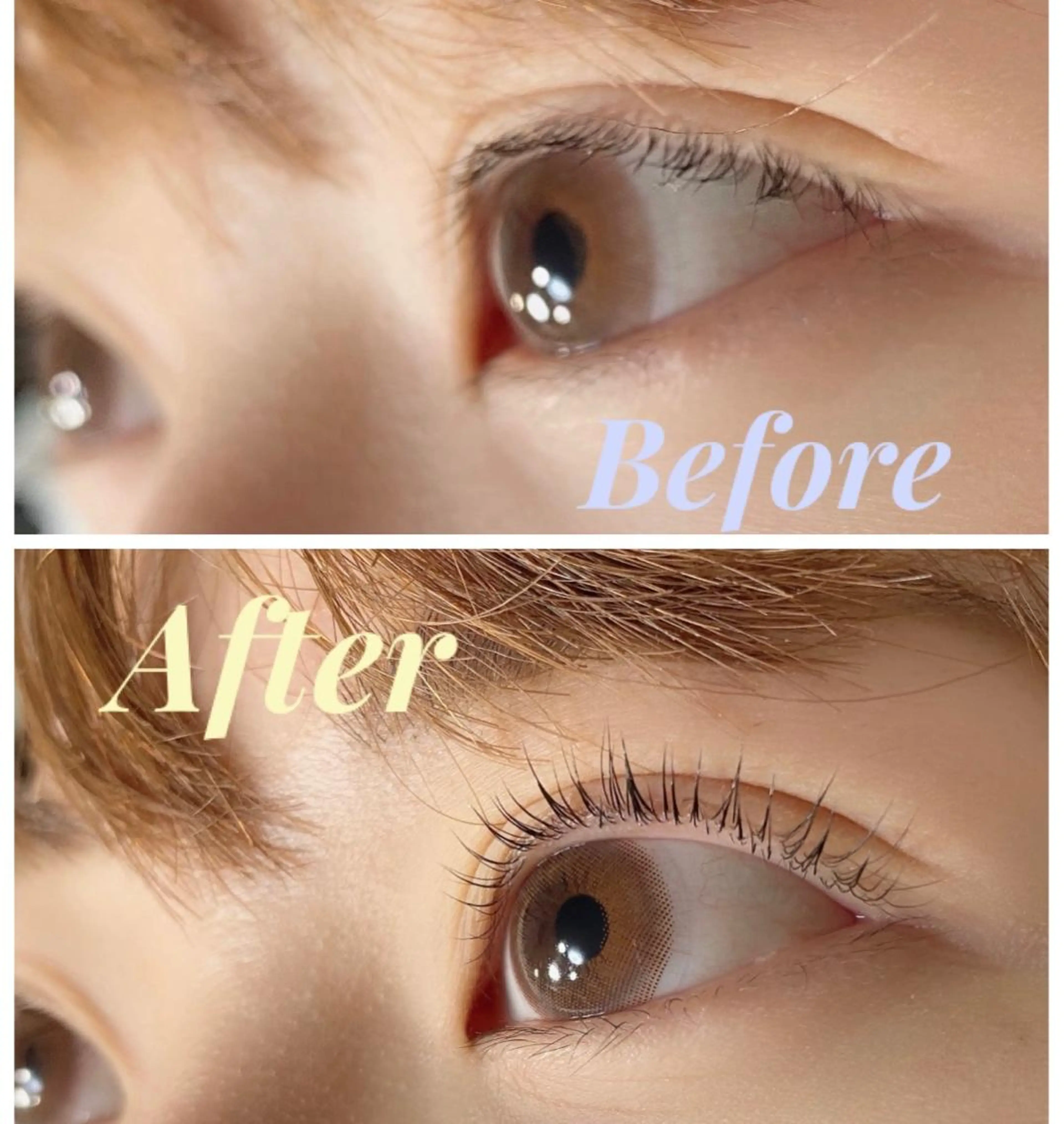 マツエク・マツパ パリジェンヌラッシュリフト Lilacia まつげパーマ/マツエク/眉【リラシア】所属・Misato 【尾山台】のマツエク・マツパデザイン