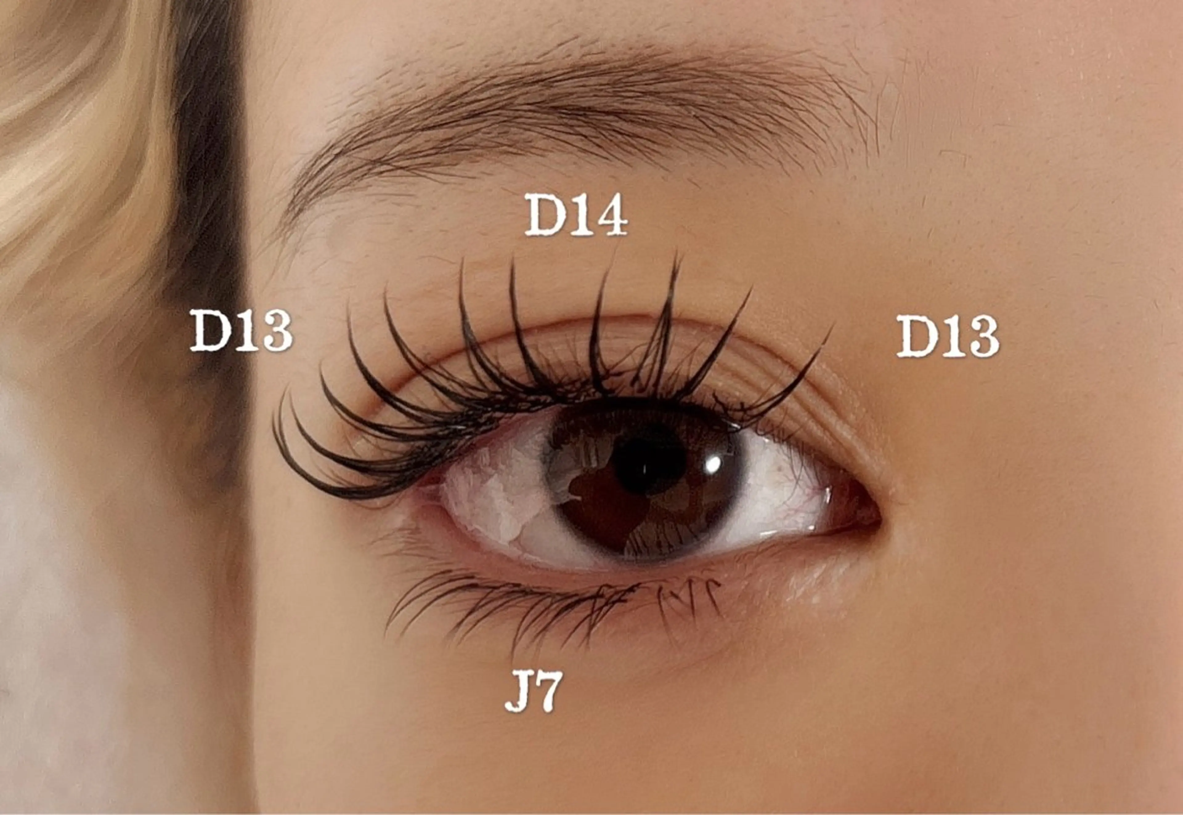 【👏👏👏キャンペーン】パリエク💗100本➕下マツエク(30本)束感➕500円の写真