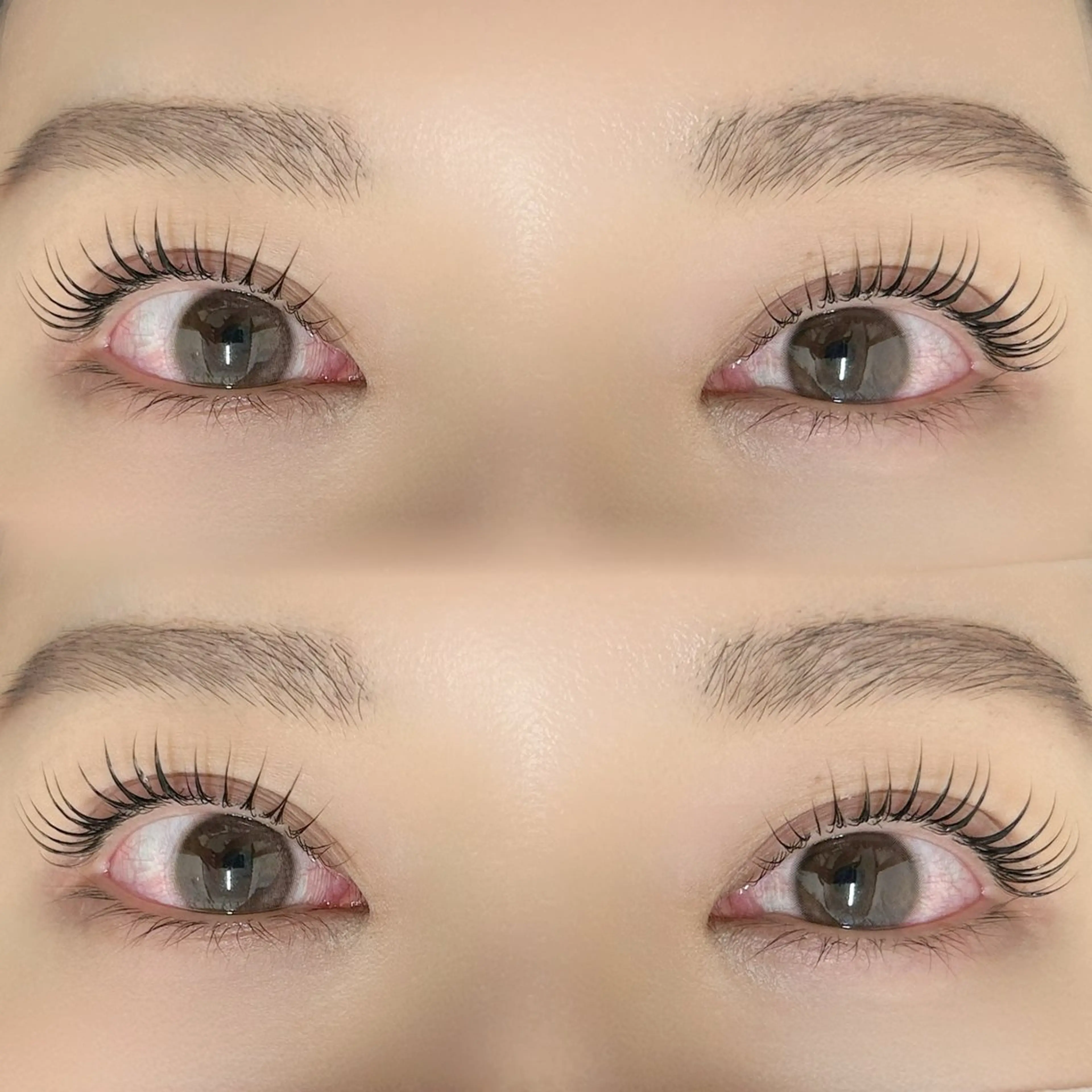 【U24ミニモ学割🧑🏻‍🎓】🩵アイブロウWAX+まつげパーマ🩵(学生証提示必須❕パリジェンヌ+500円)の写真