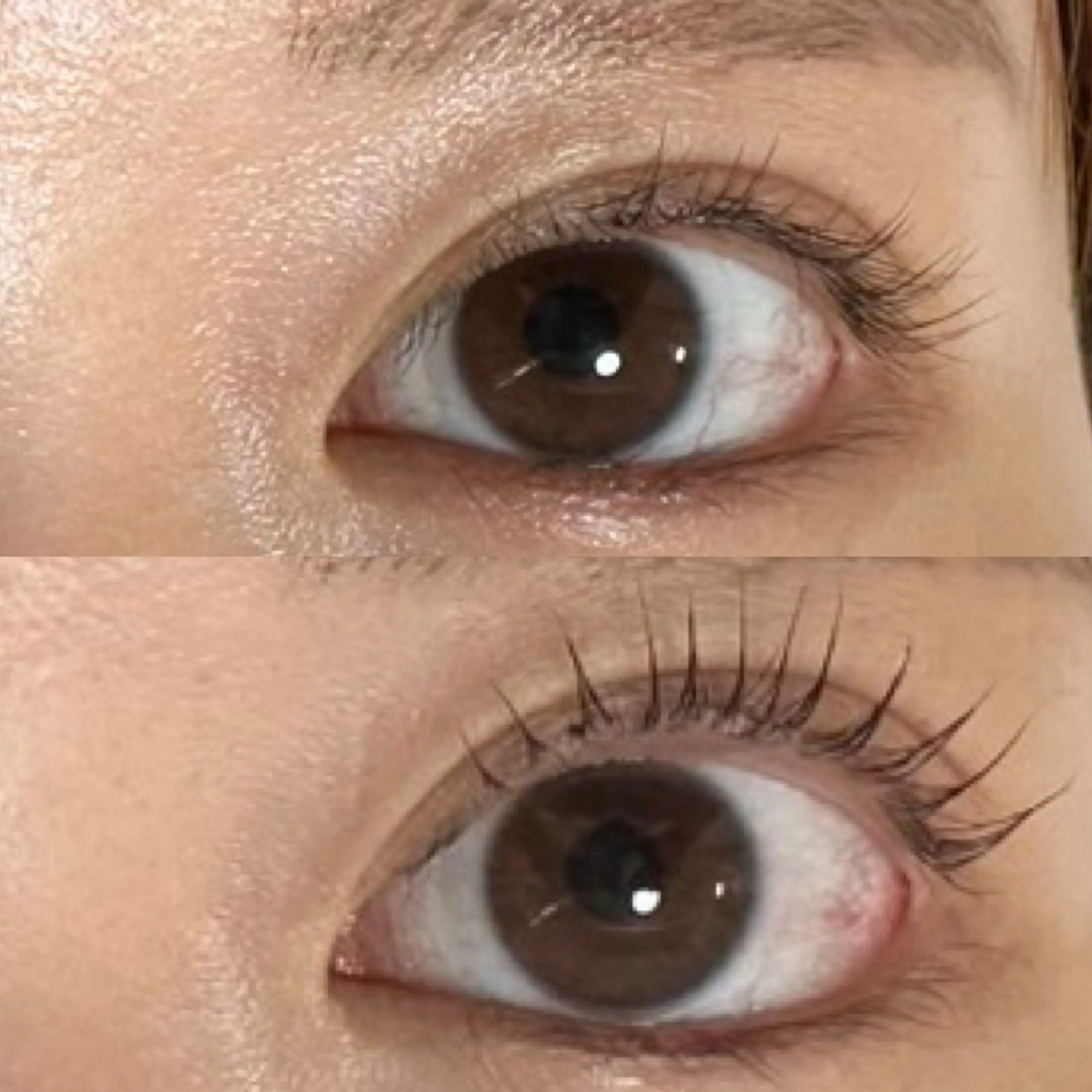 マツエク・マツパ 眉毛　まつげパーマ ルクス銀座店の眉毛・アイブロウイメージ