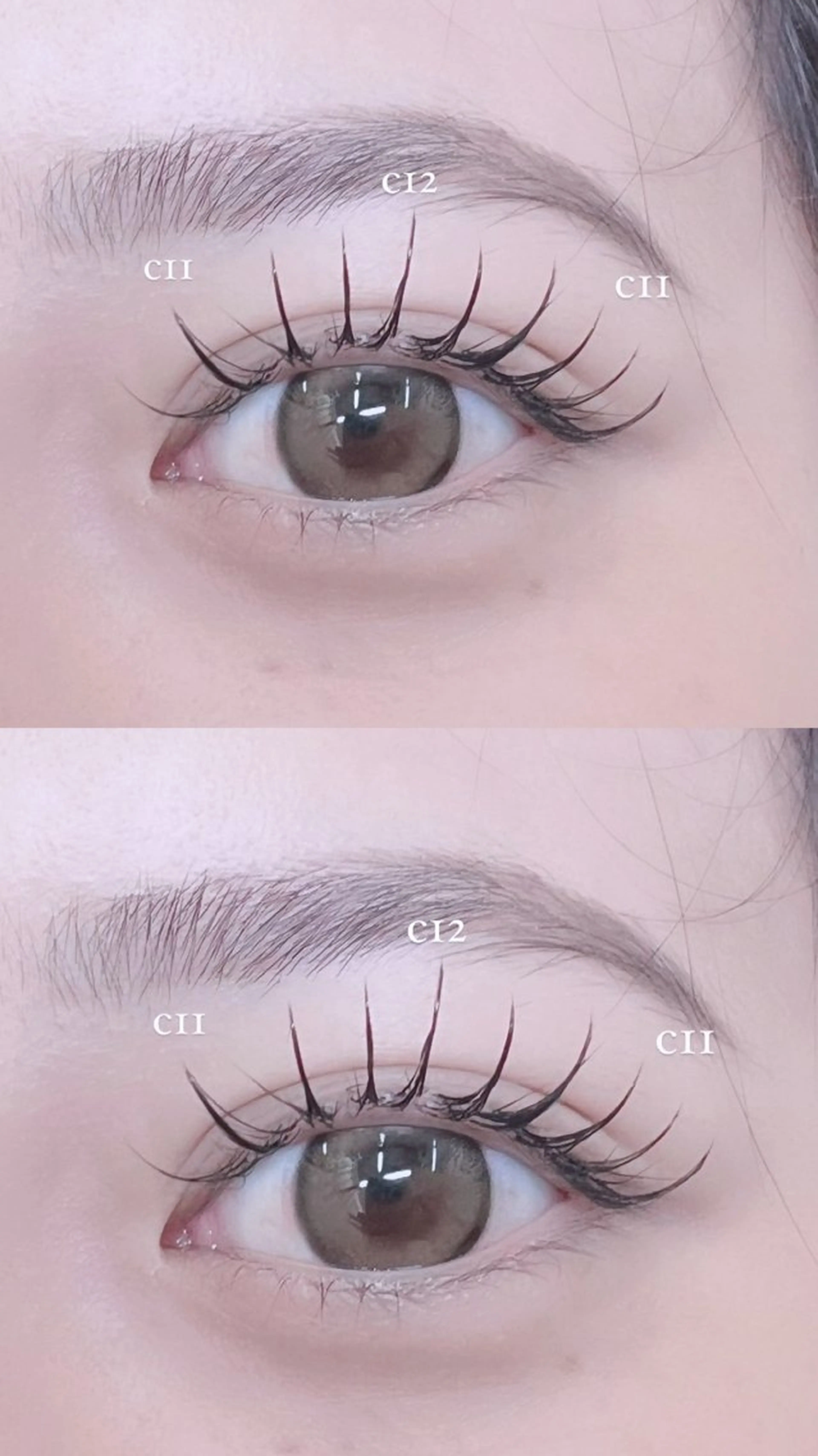 ‎🤍期間限定‎フラットラッシュ120本‎🤍期間限定価格✨の写真