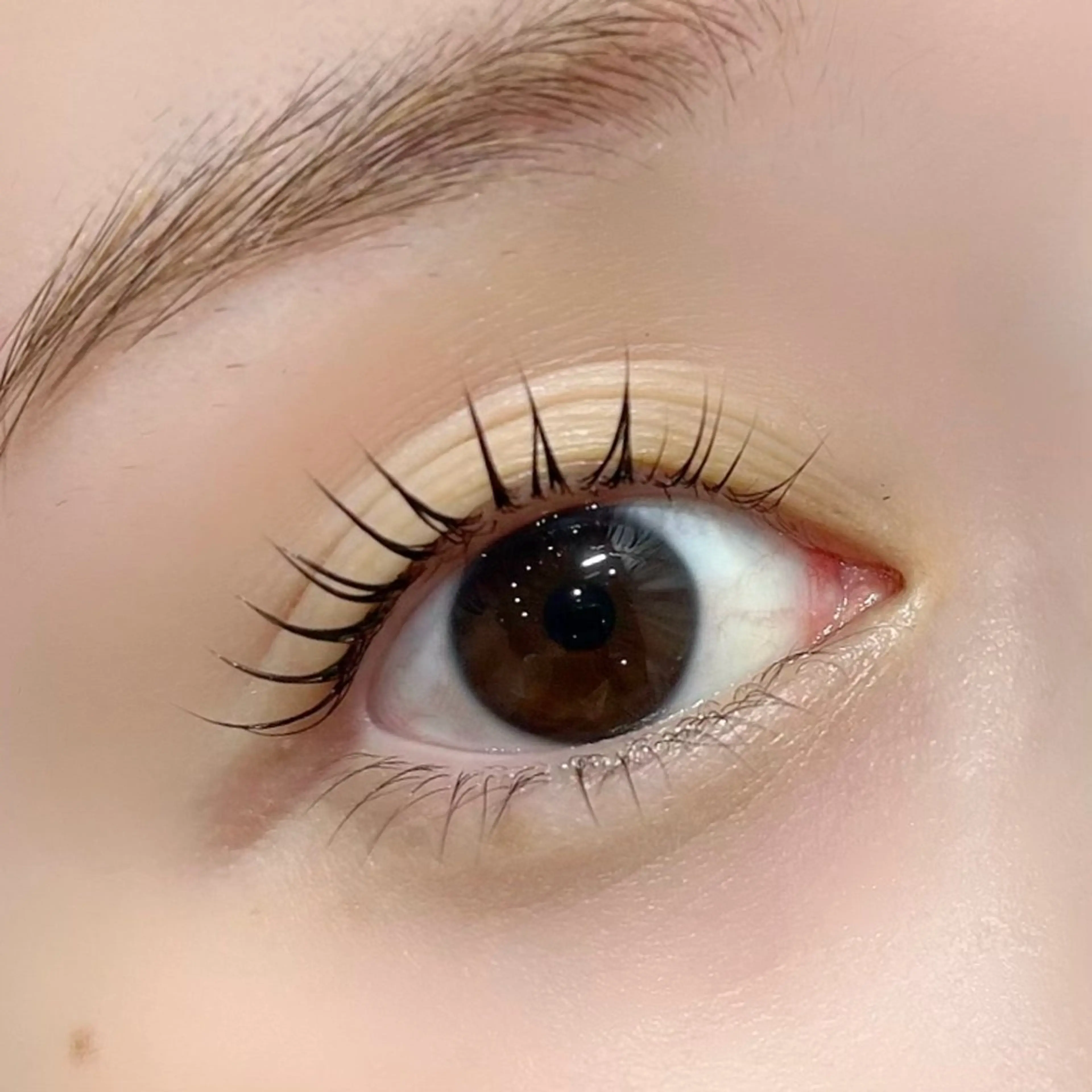 マツエク・マツパ マツパ 🪸似合わせ/お悩み 解決🪸しもだのマツエク・マツパデザイン