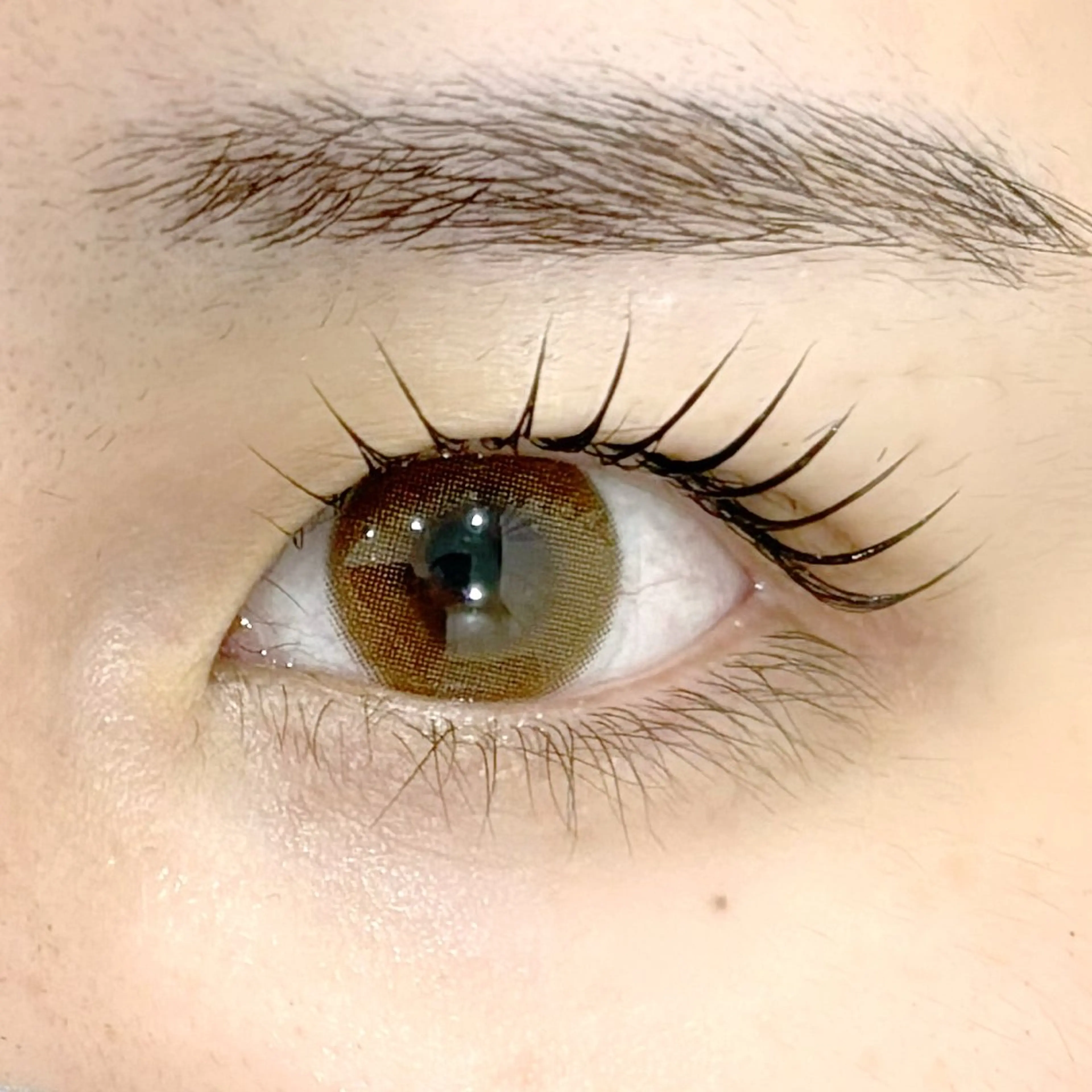 🍇まつ毛パーマ🍇アイシャンプー・コーティング付💜の写真