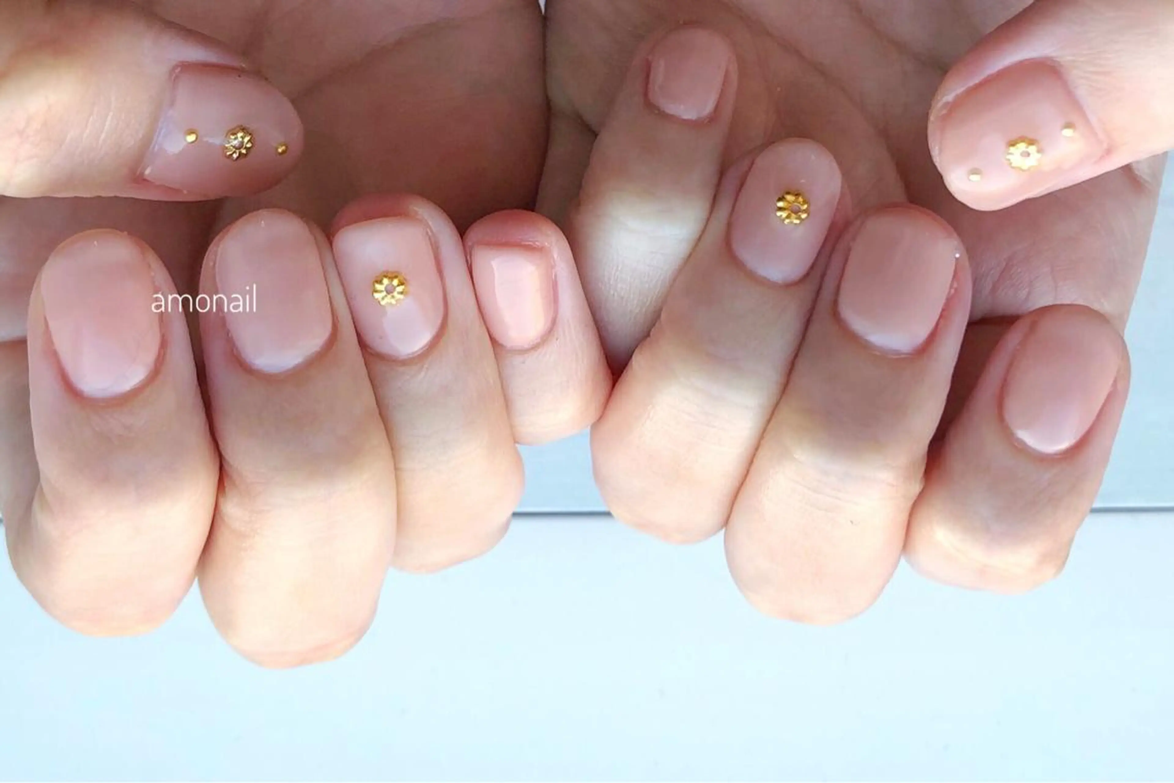 ワンカラーの写真