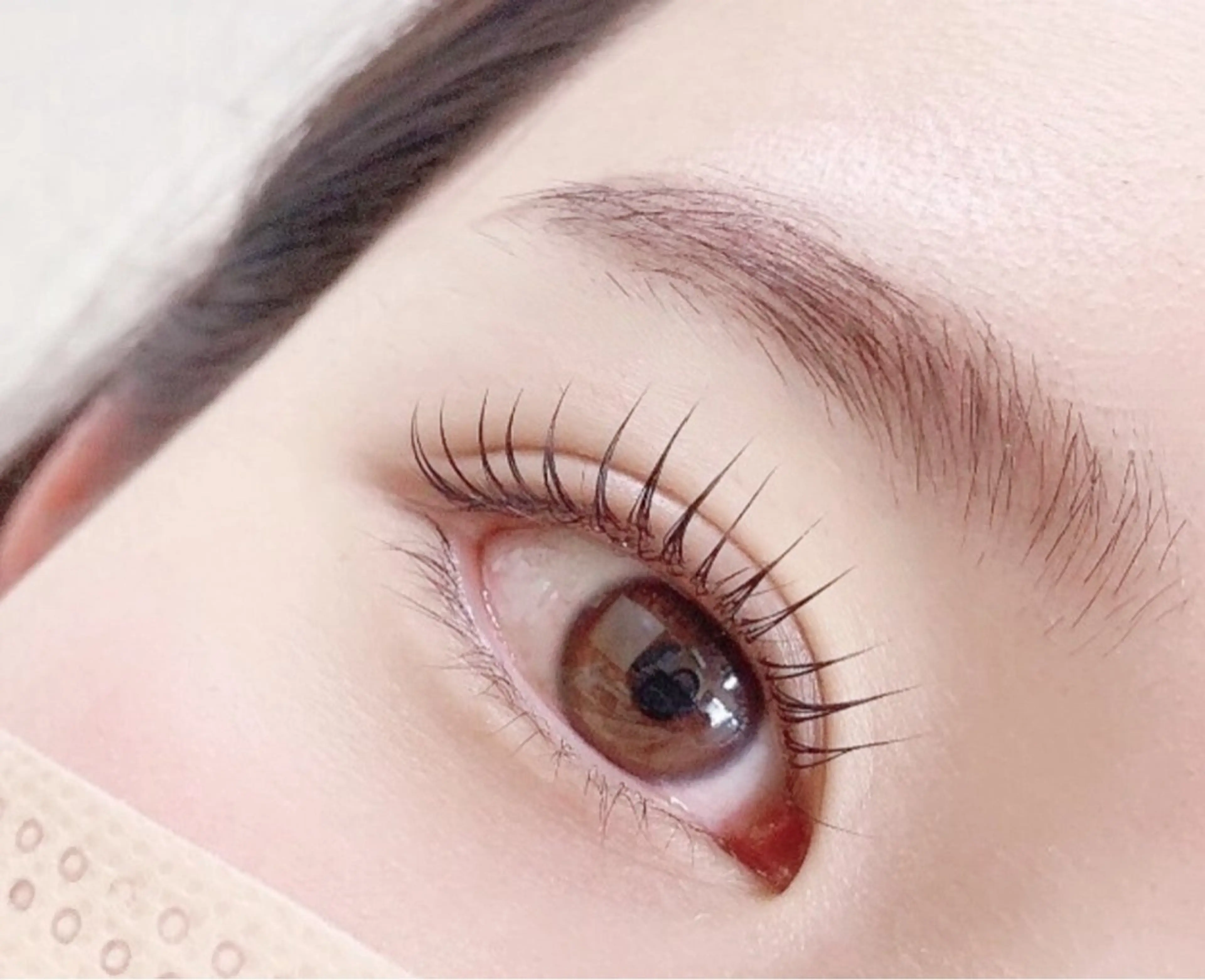 マツエク・マツパ LC覚王山店所属・LC【エルシー】 覚王山店の眉毛・アイブロウイメージ