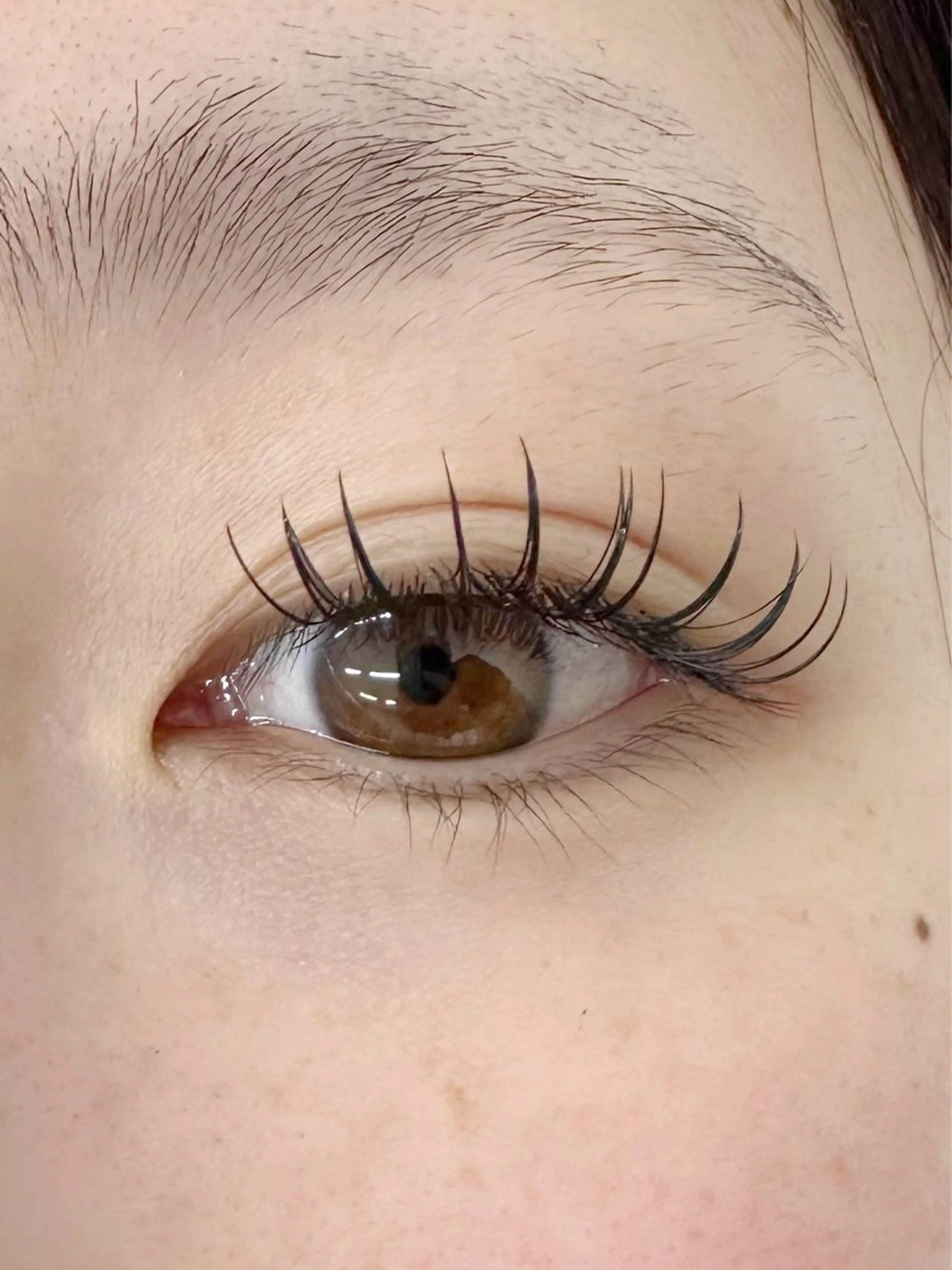 マツエク・マツパ フラットラッシュ utari matsuge所属・utari matsugeのマツエク・マツパデザイン