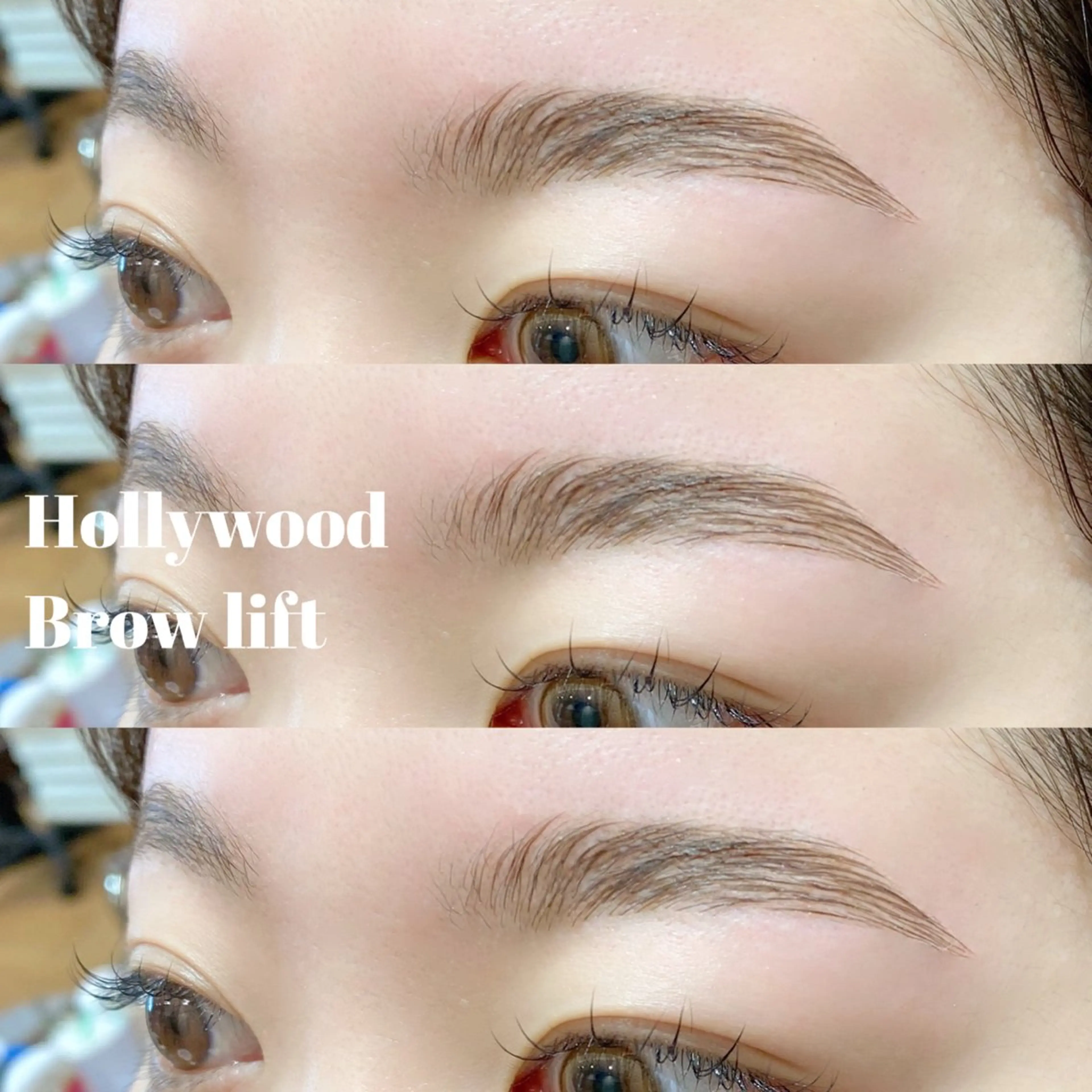 🌿ハリウッドブロウリフト＋Waxの写真