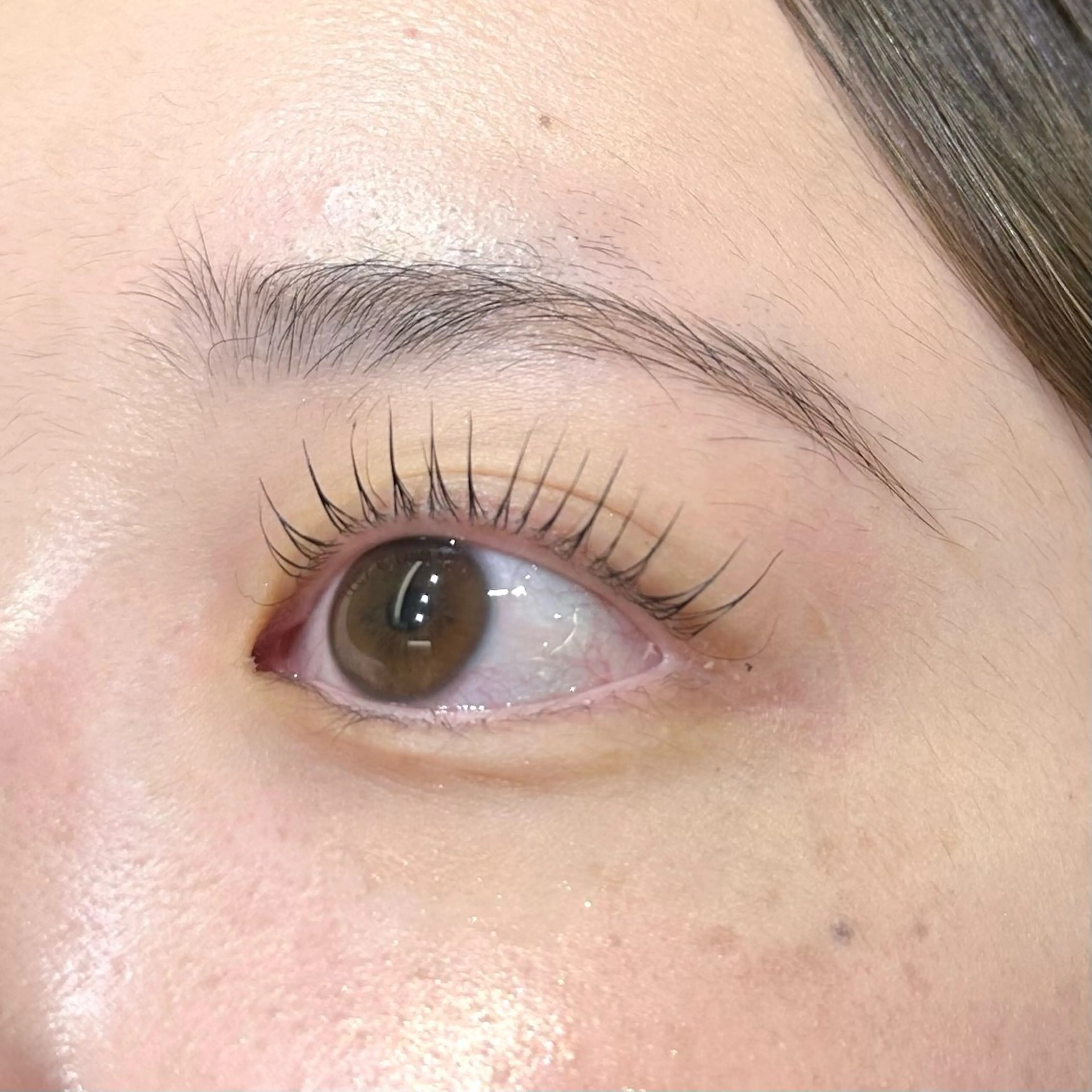 マツエク・マツパ Dollylash 福城のマツエク・マツパデザイン