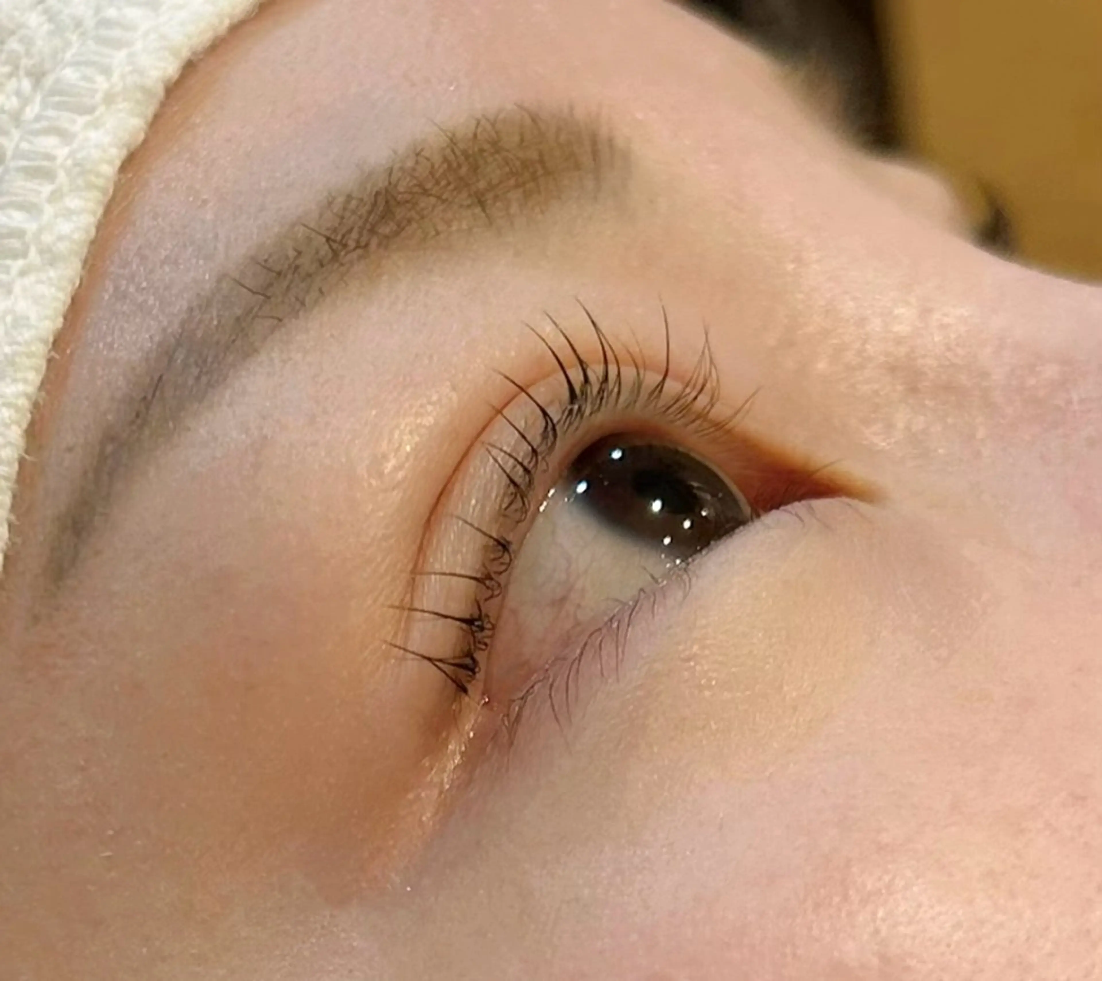 マツパ🪽コーティング込みの写真