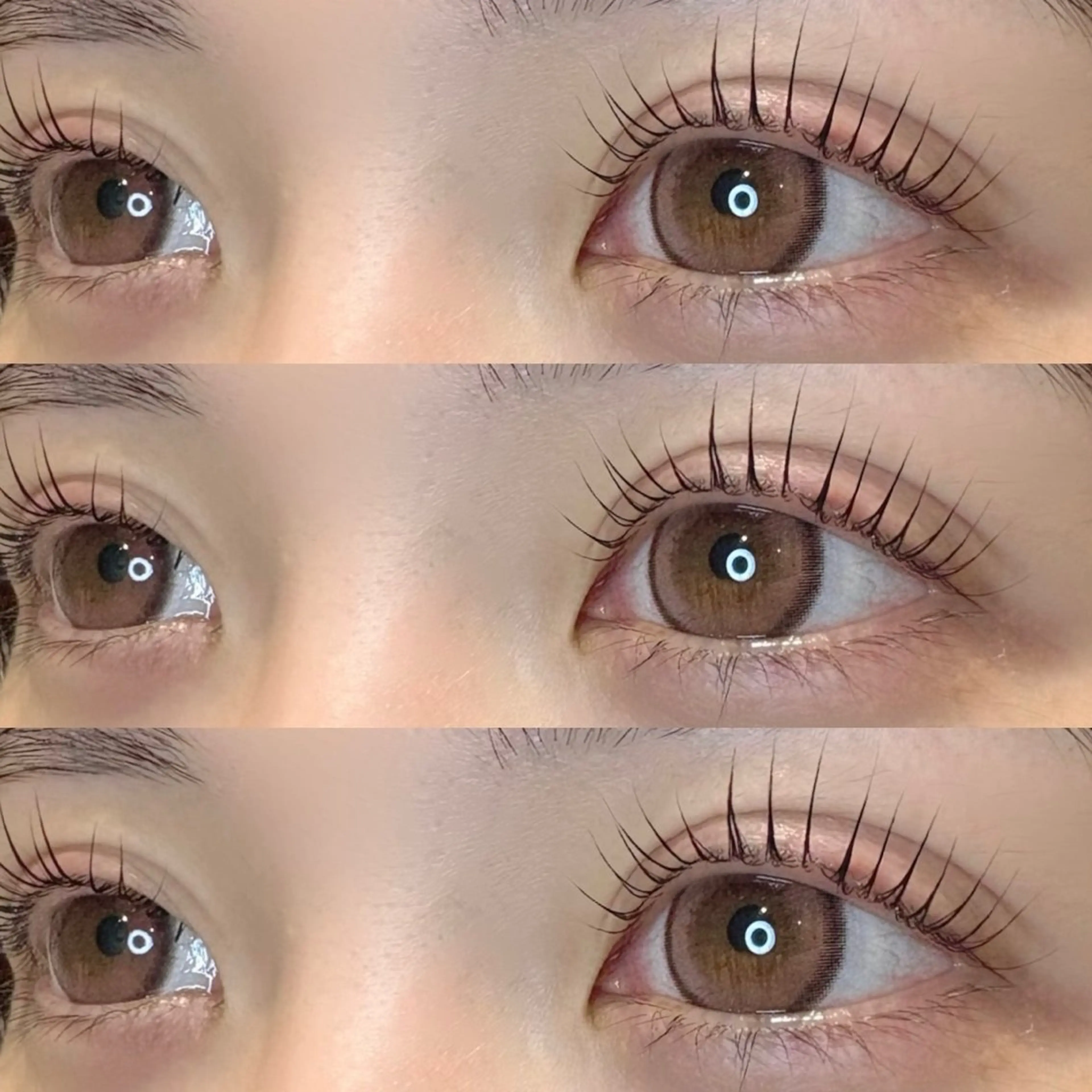 【✨️期間限定✨️】パリジェンヌラッシュリフト🍯🤍の写真