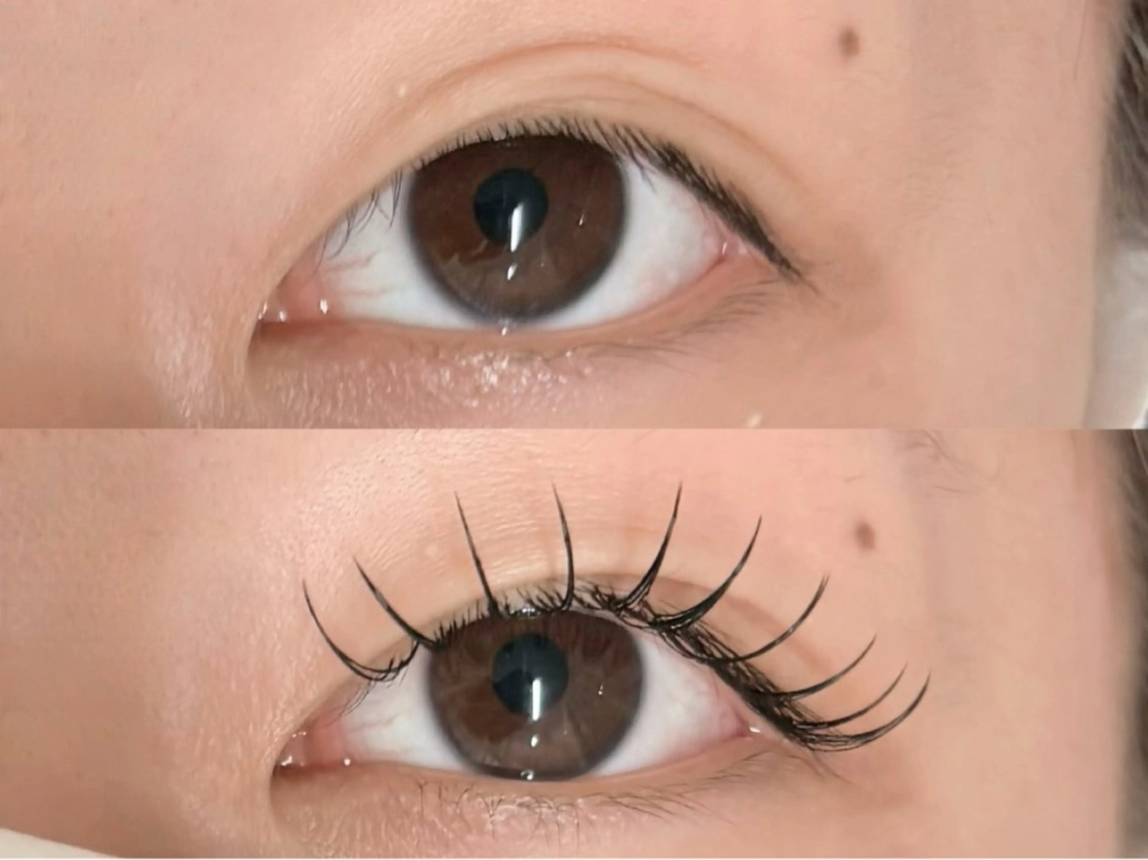 マツエク・マツパ 🫧SATOMI 草加駅5分メンズ眉毛の眉毛・アイブロウイメージ