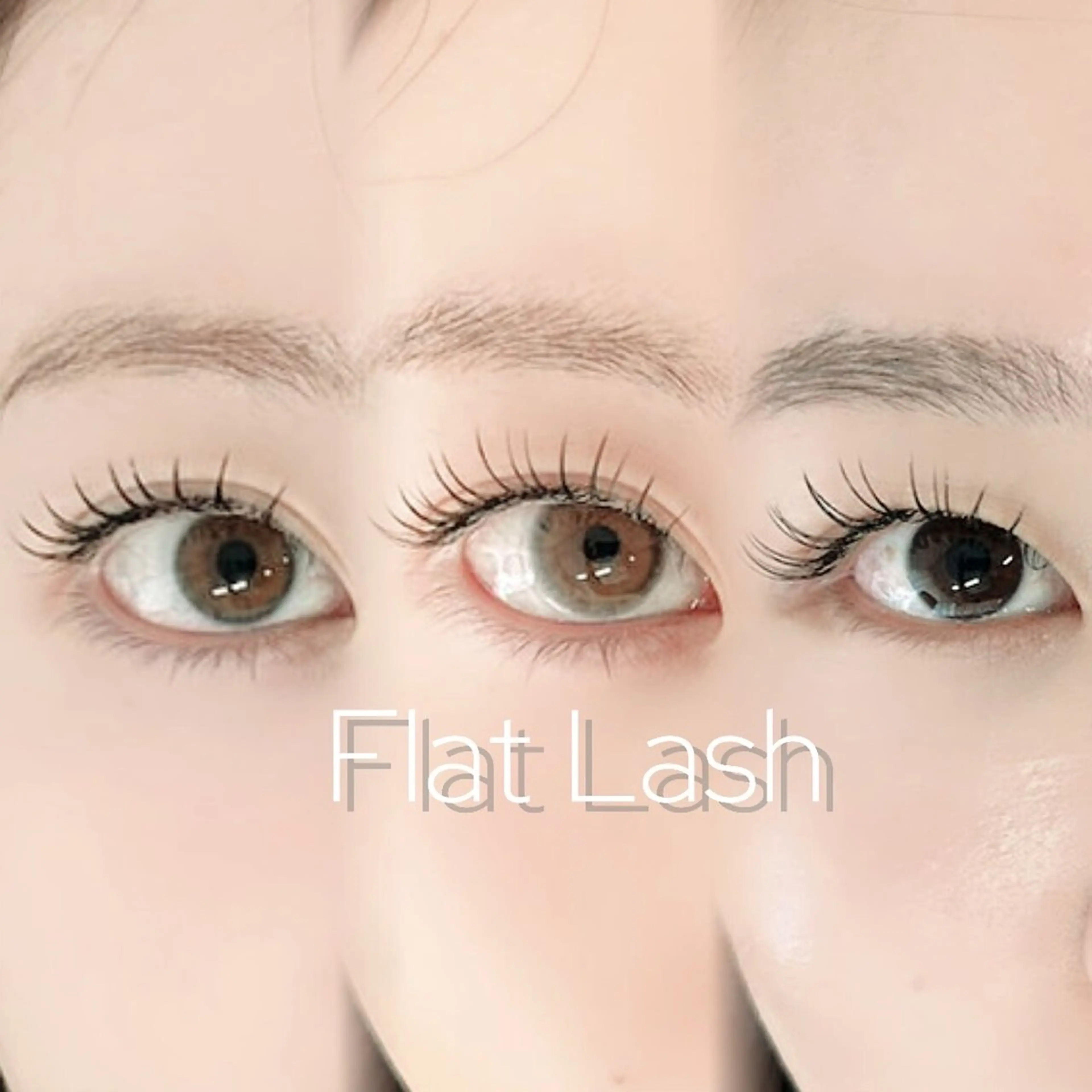 フラットラッシュ🤍BK100本🤍オフ+500円の写真