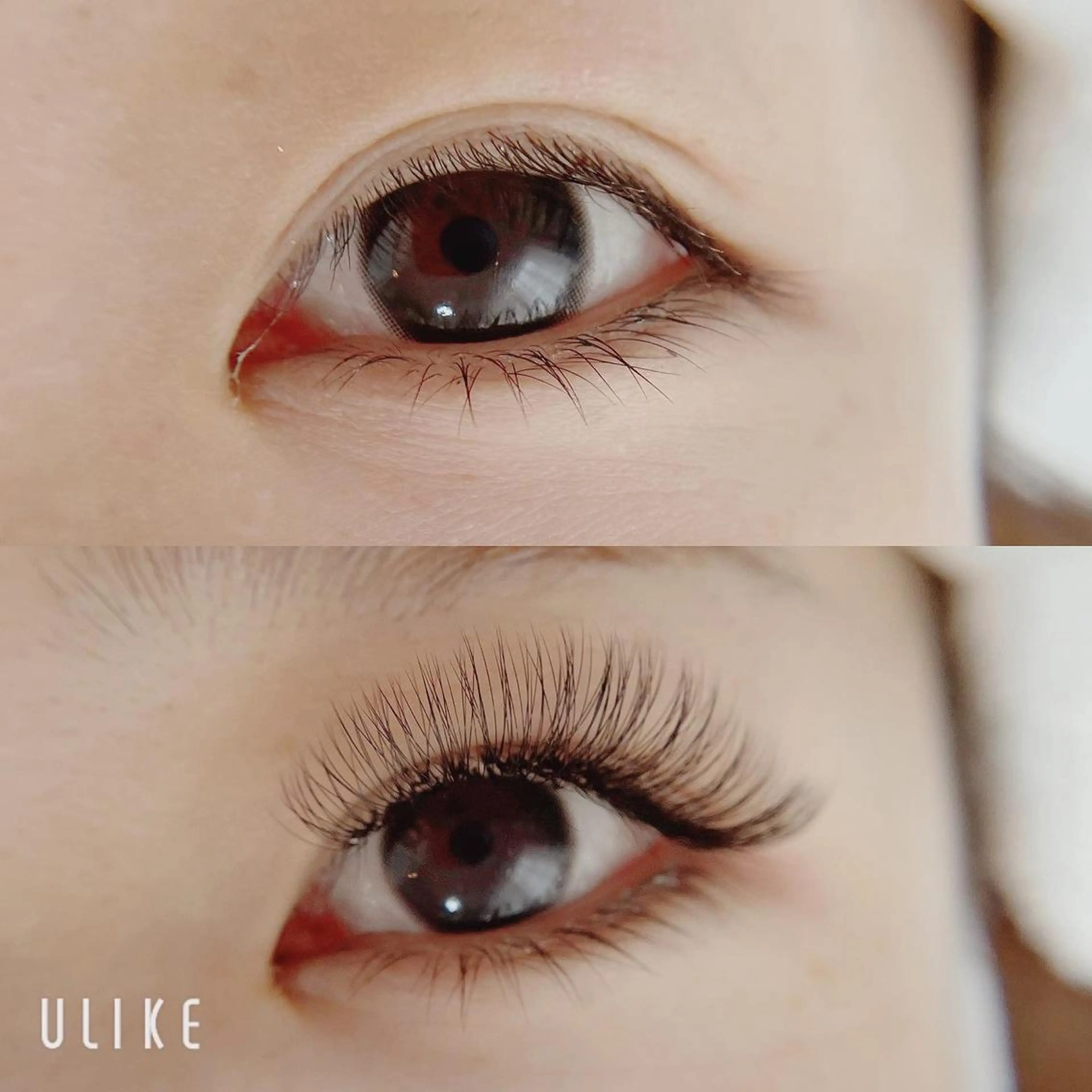 マツエク・マツパ Lotus.所属・Lotus. makoのエステ・リラクイメージ