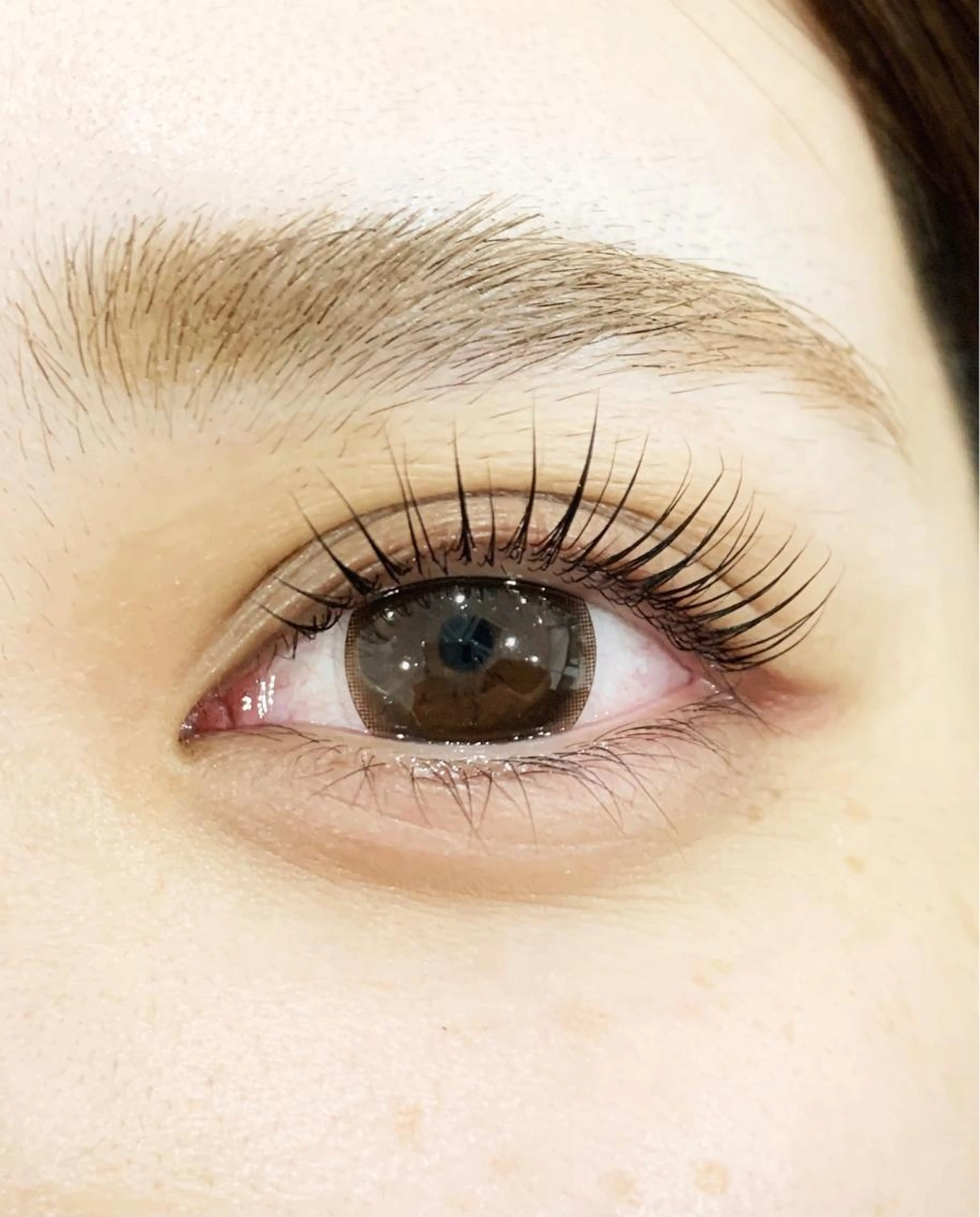 【平日限定】パリジェンヌorまつ毛パーマ🌷コーティング付の写真