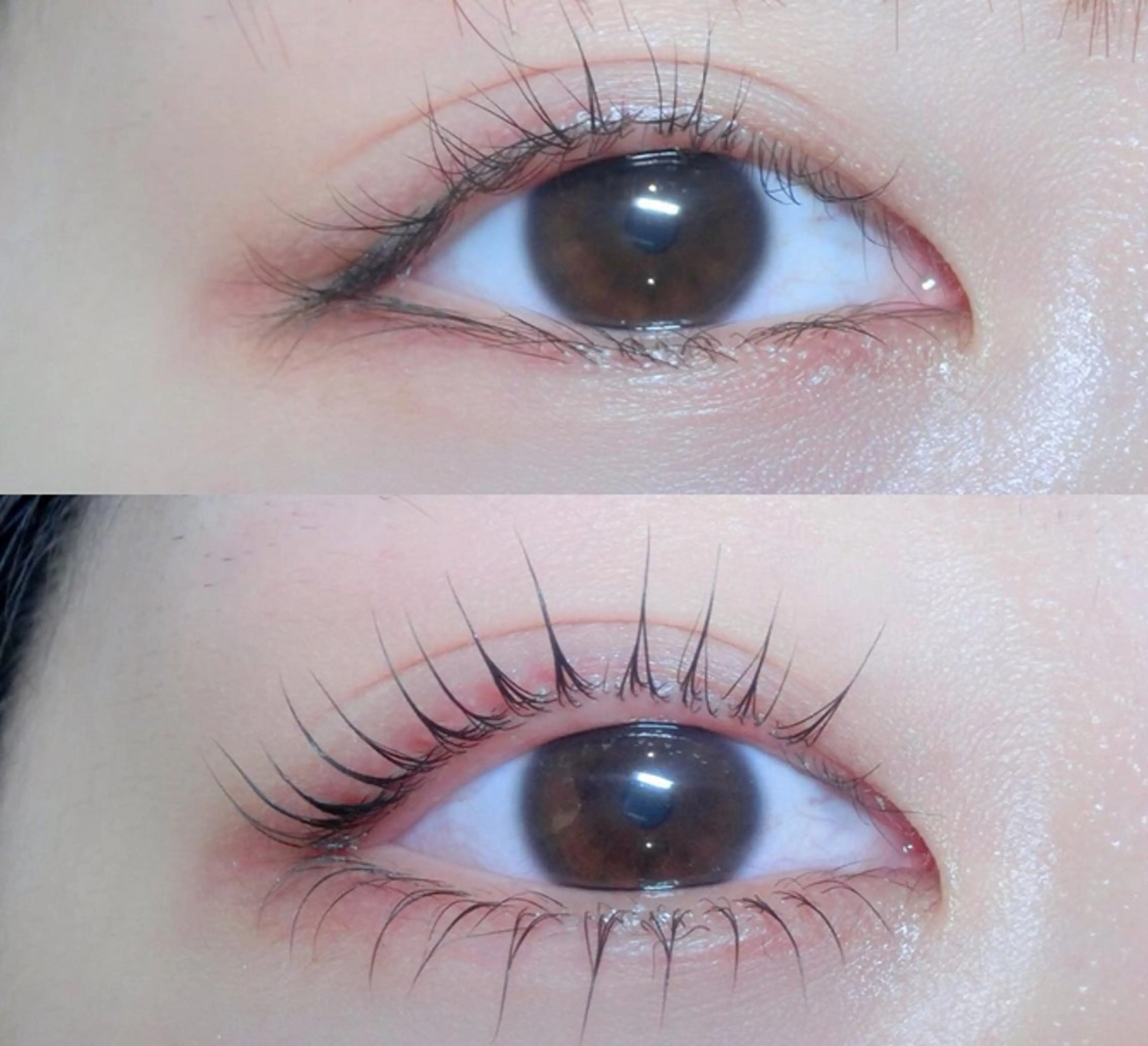 パーマ マツパ 🌸TAKAHSHI YU🌸のマツエク・マツパデザイン