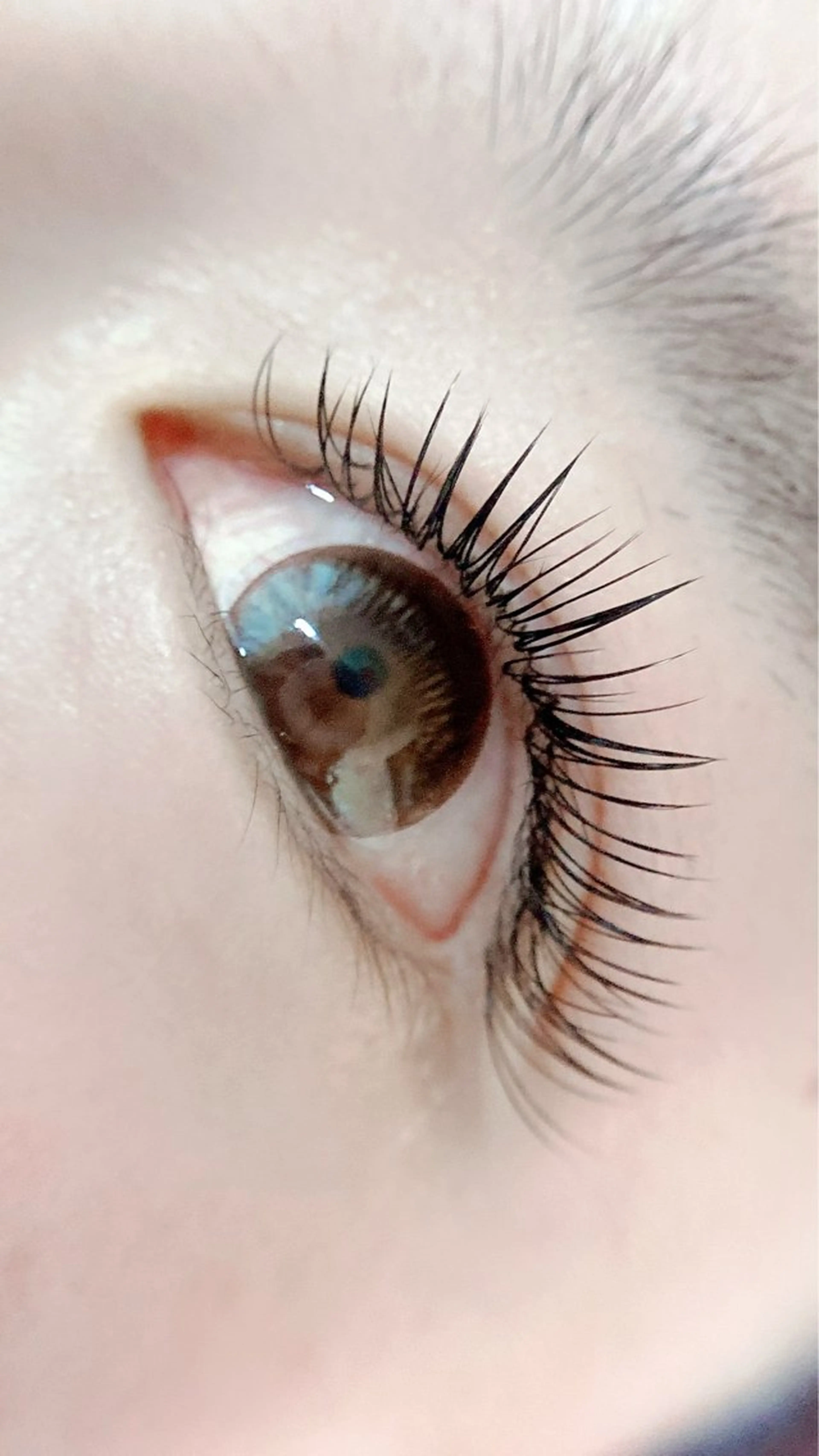 1番人気【Design Keep Lash】LEDまつえく160本9,800→8000の写真