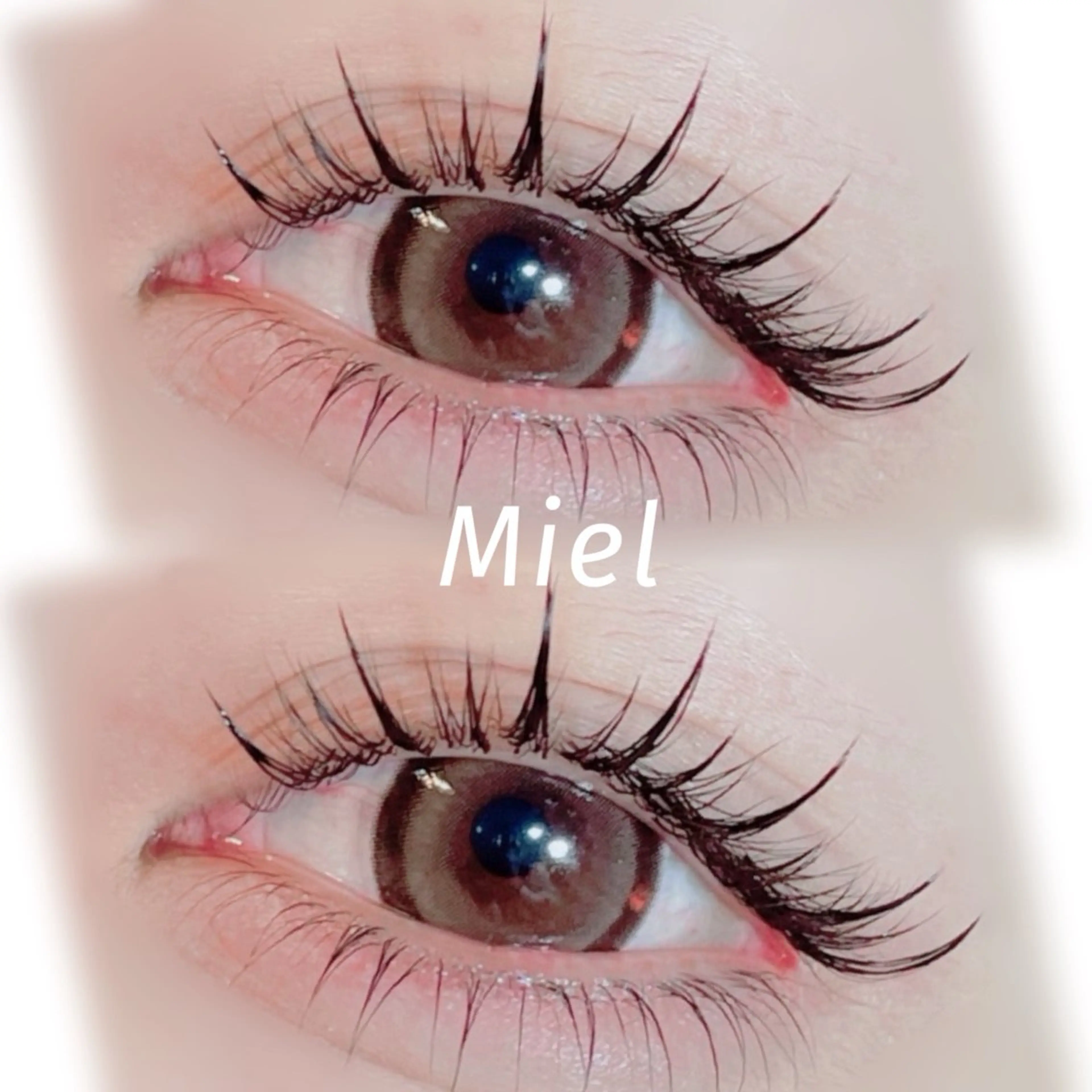 マツエク・マツパ カラーマツエク フラットラッシュ ボリュームラッシュ ワンホンマツエク Mori ✨Mystical✨のマツエク・マツパデザイン