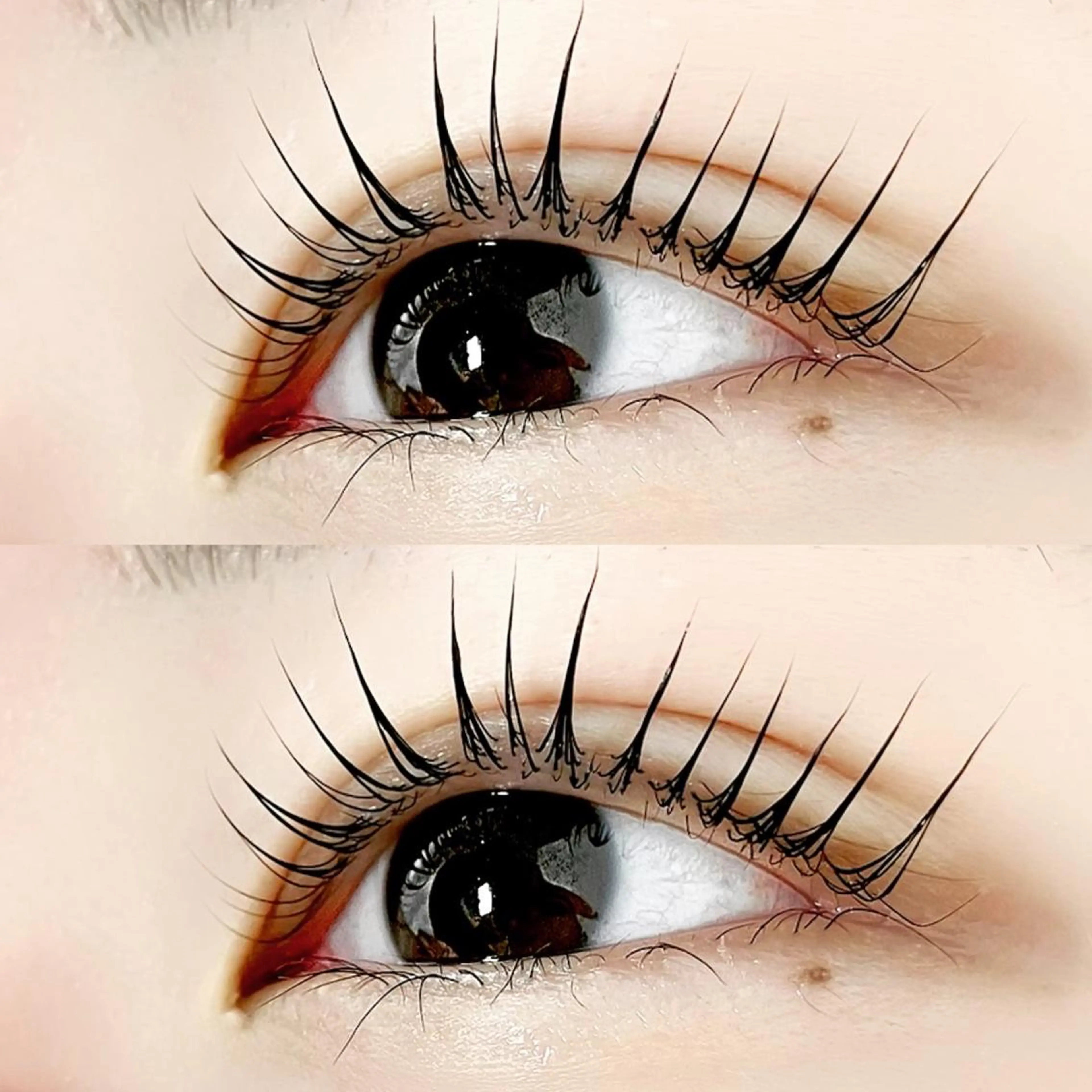 SNSで話題🌏🚀【次世代まつ毛パーマ】パリジェンヌラッシュ🇫🇷🗼💖の写真