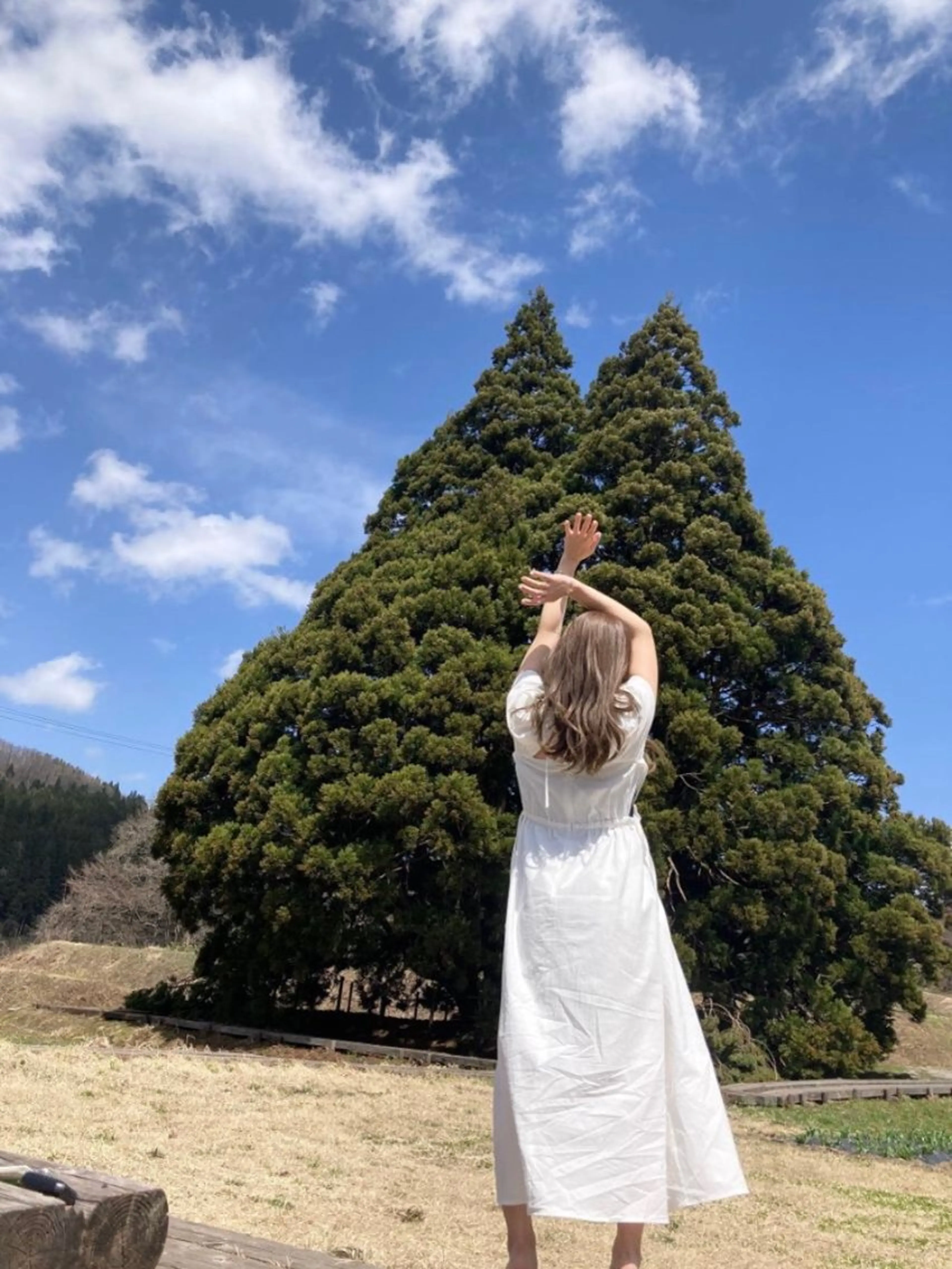 セミロング カラー パーマ ヘアアレンジ メンズ キッズ ハーフアップ 子どものヘアアレンジ メンズバレイヤージュ メンズブリーチ メンズハイライト カット ヘアカラー トリートメント ヘッドスパ ヘアセット grand story/colulu渋谷2号店所属・kotona 🤍miuraのヘアスタイル