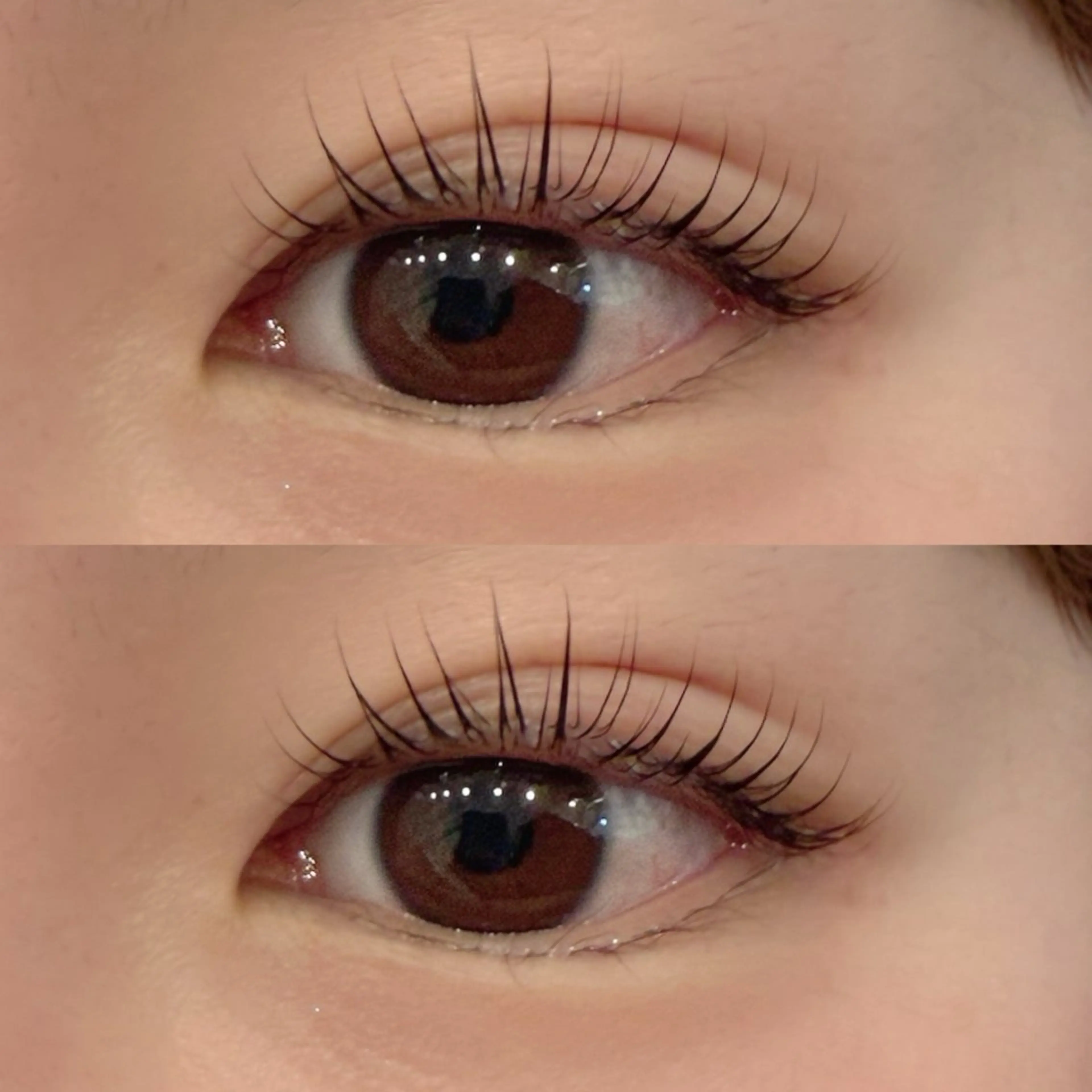 マツエク・マツパ サクラブロウ 第2ビル店 小松の眉毛・アイブロウイメージ