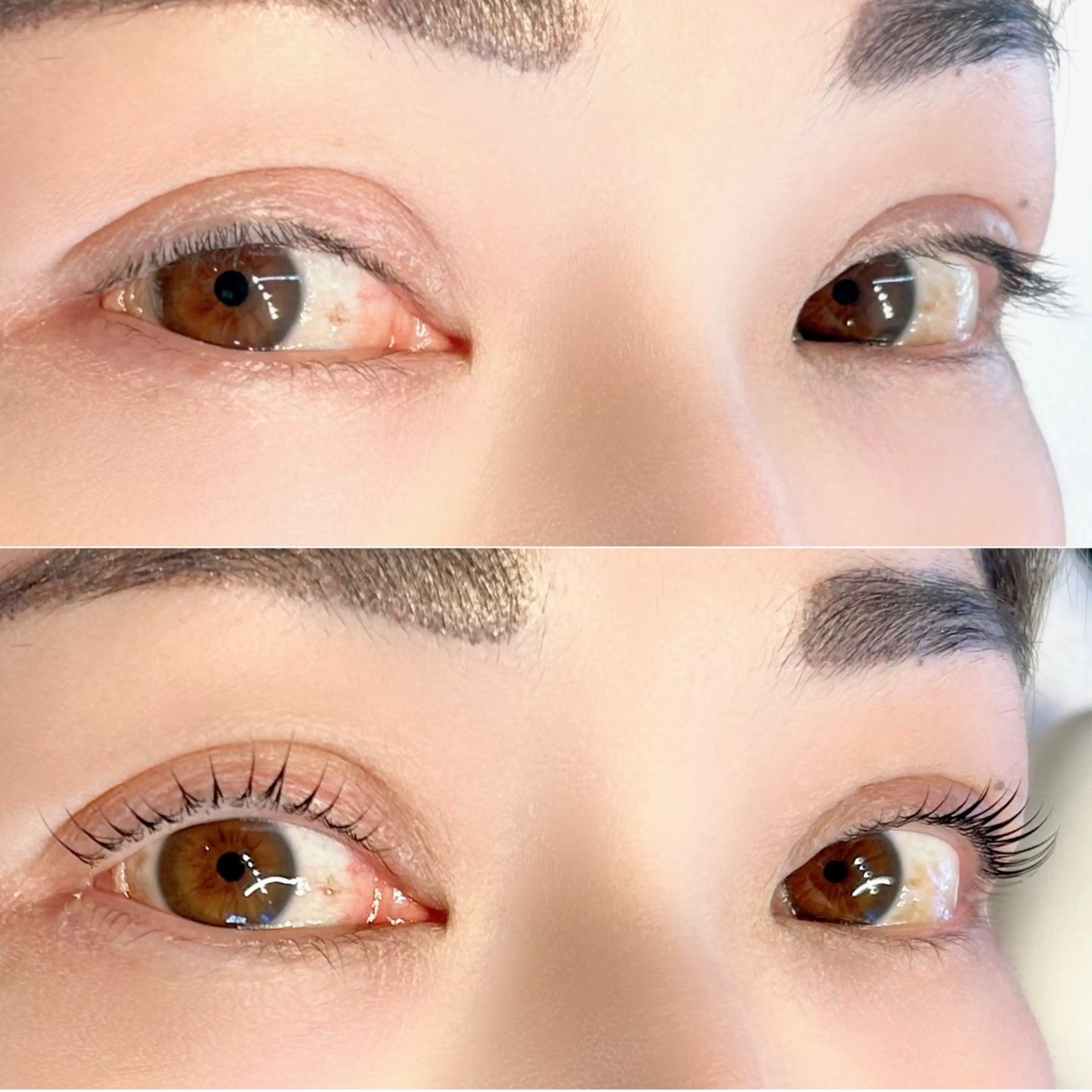 🫧ྀི🪼ྀིマスカラパーマ🪼ྀི🫧ྀི高濃度ケラチン3STEPトリートメント+ブラックティント🦔♡の写真