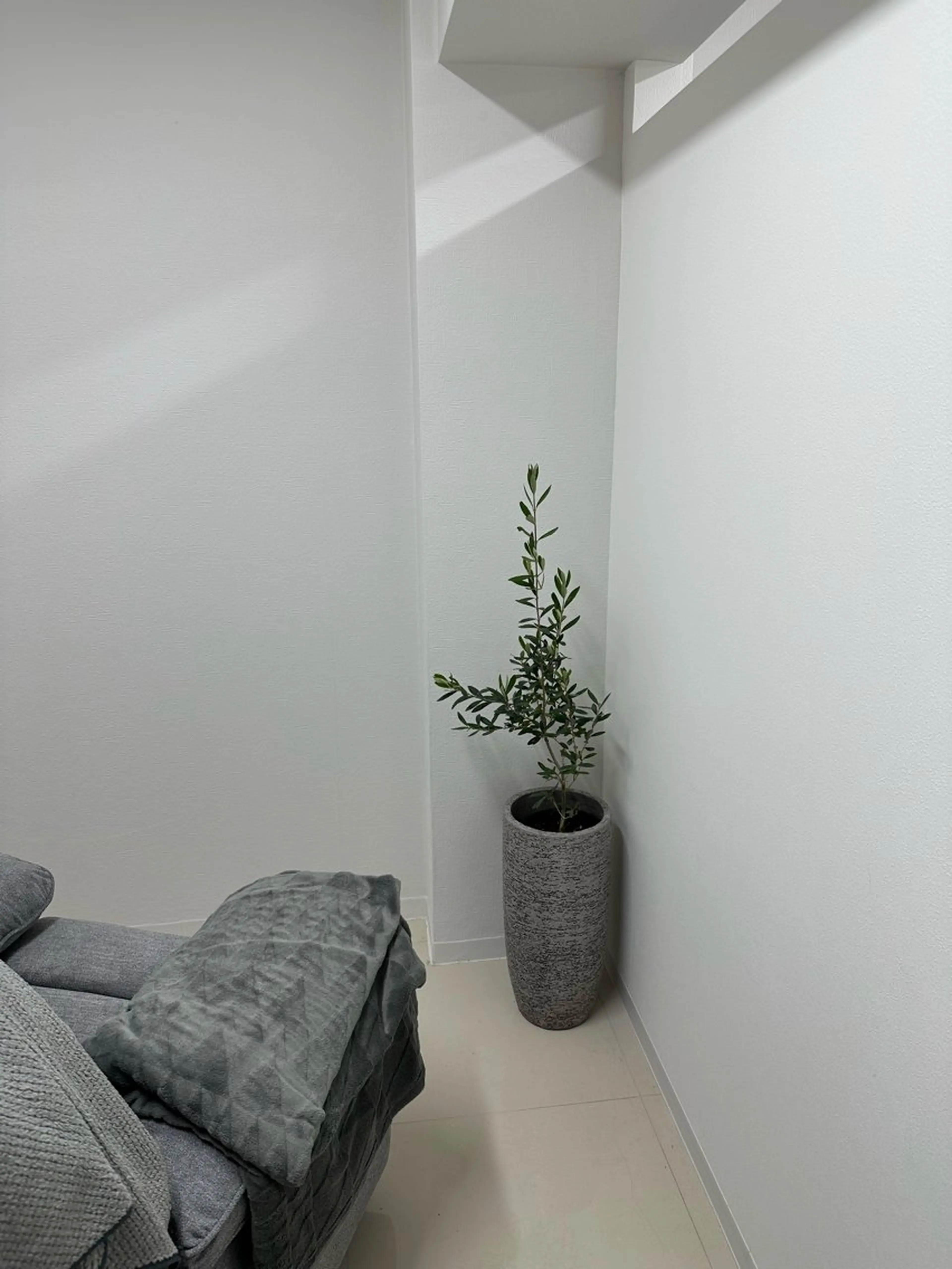 grey ayaのマツエク・マツパデザイン