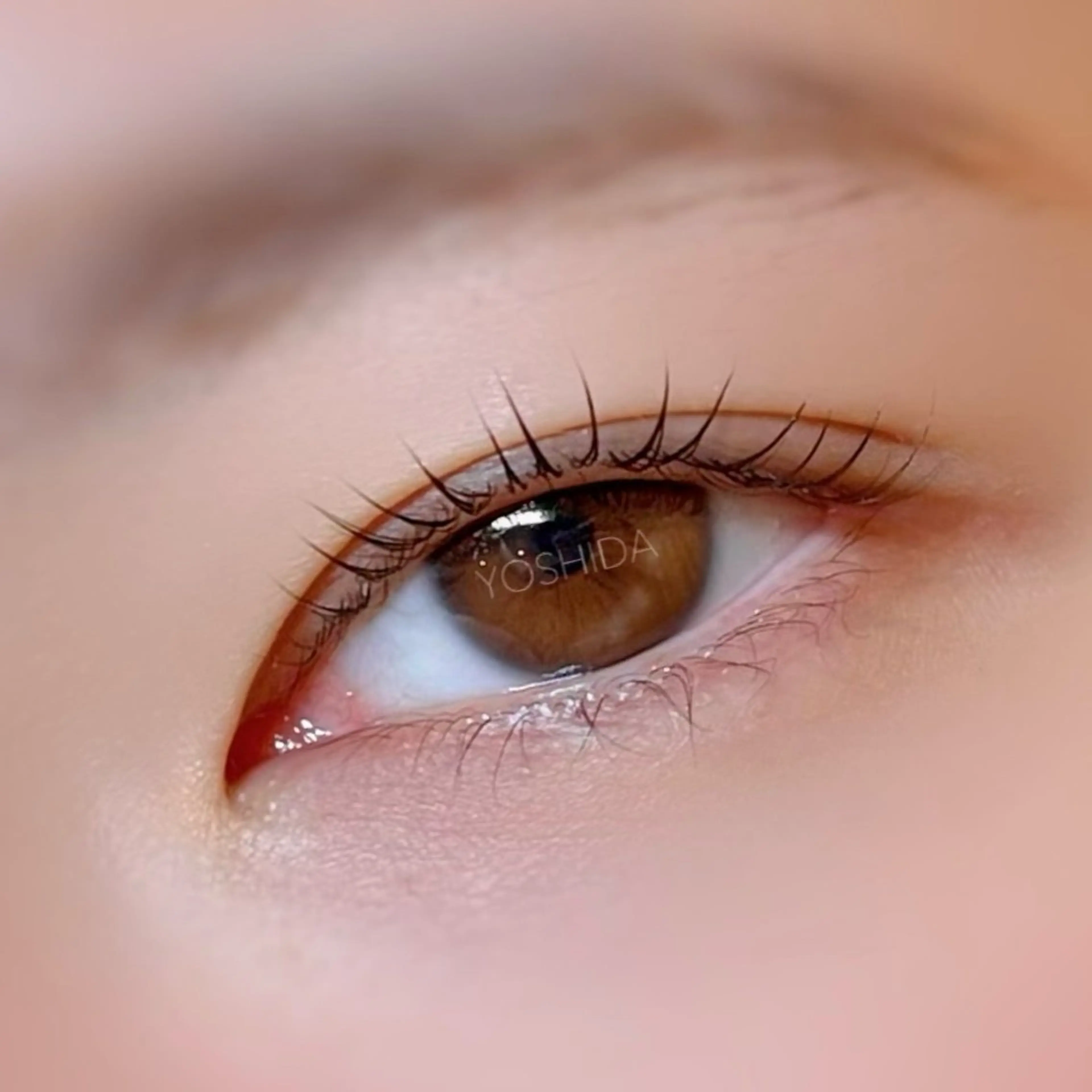 マツエク・マツパ まつげパーマ マツパ 【一重┊︎奥二重】 YOSHIDA🌙のマツエク・マツパデザイン