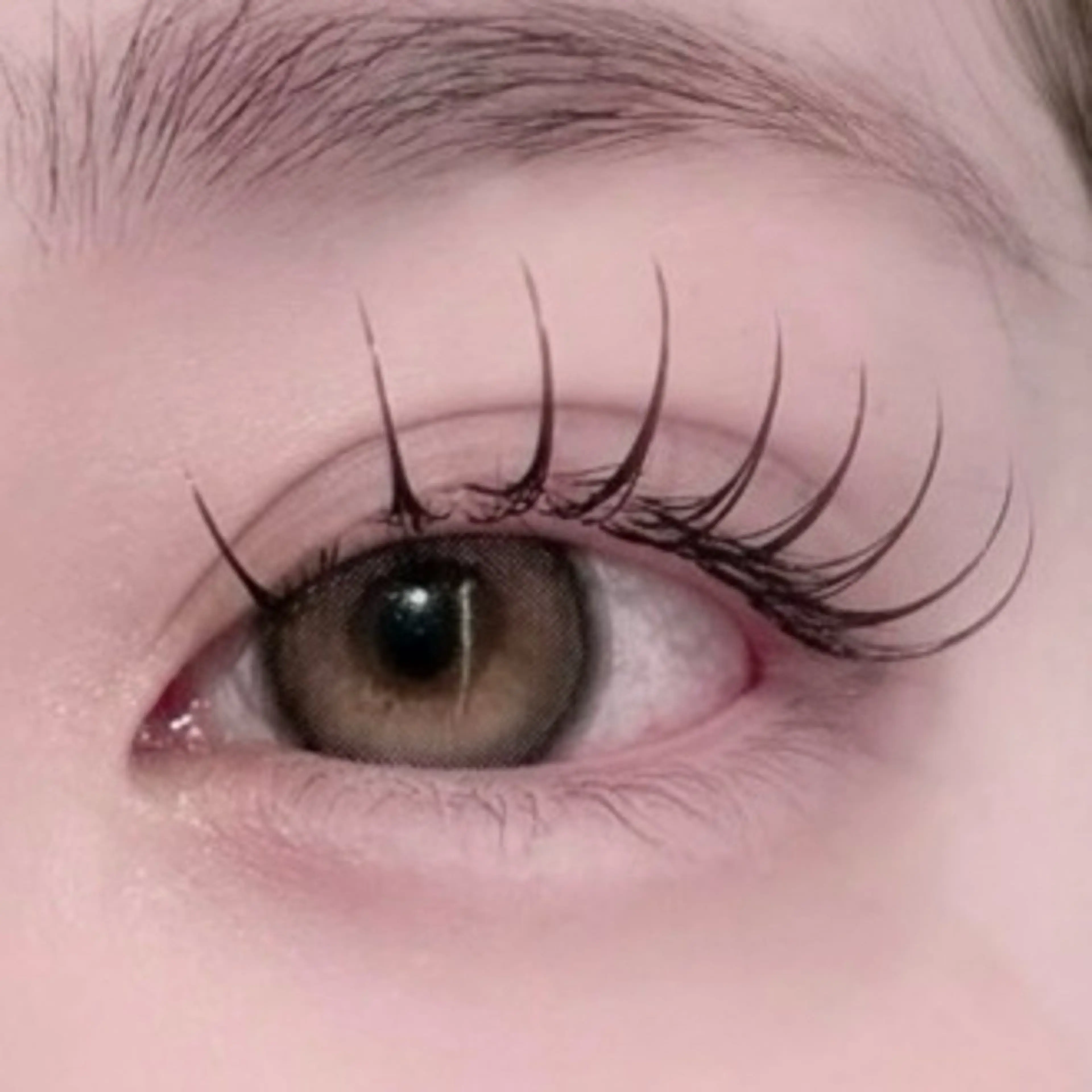 【限定価格】フラットラッシュ140本✨🎀〈オフ込・コーティング付〉の写真