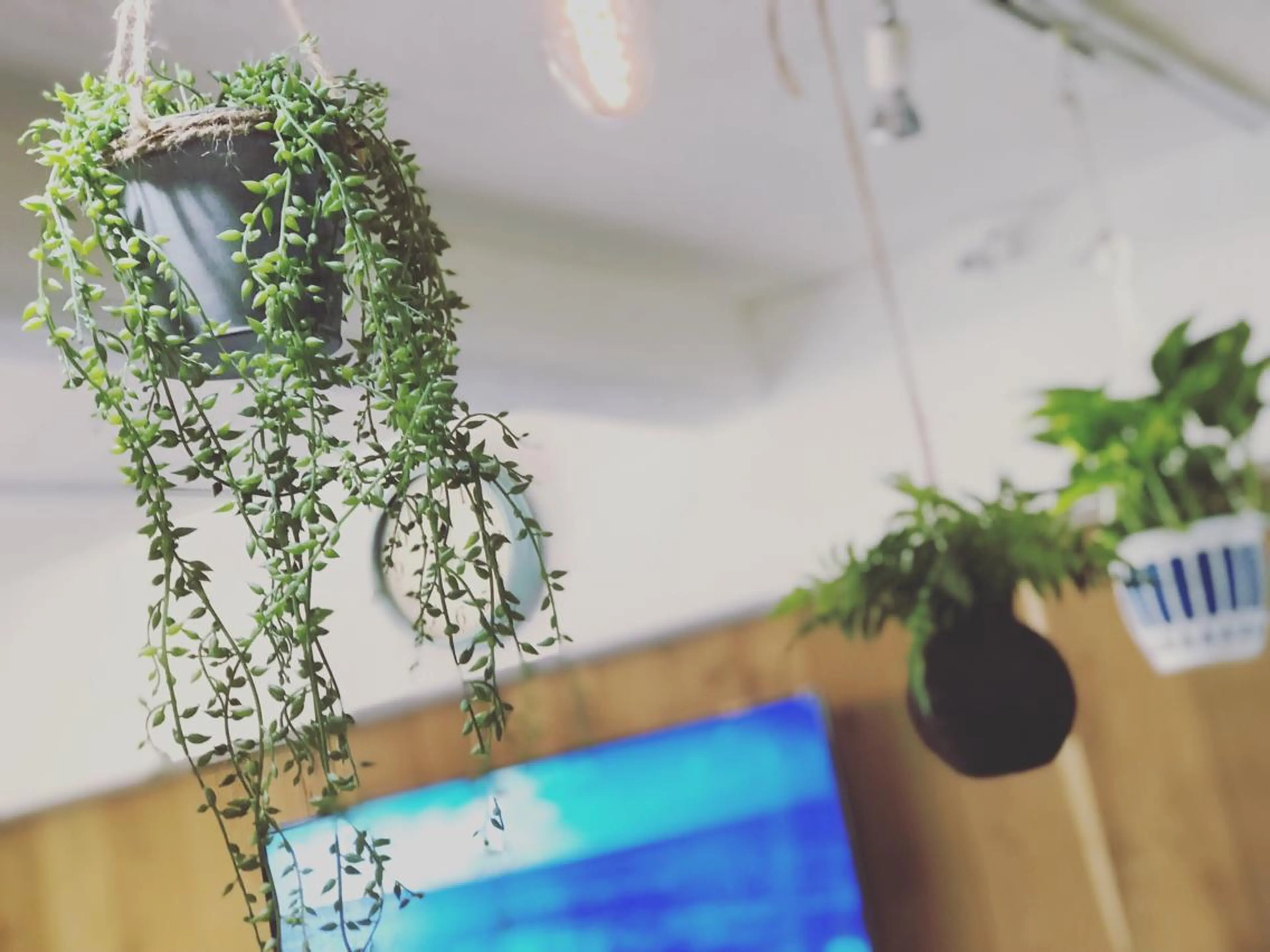 カラー パーマ マツエク・マツパ 髪質改善サロン Liko🌟のヘアスタイル