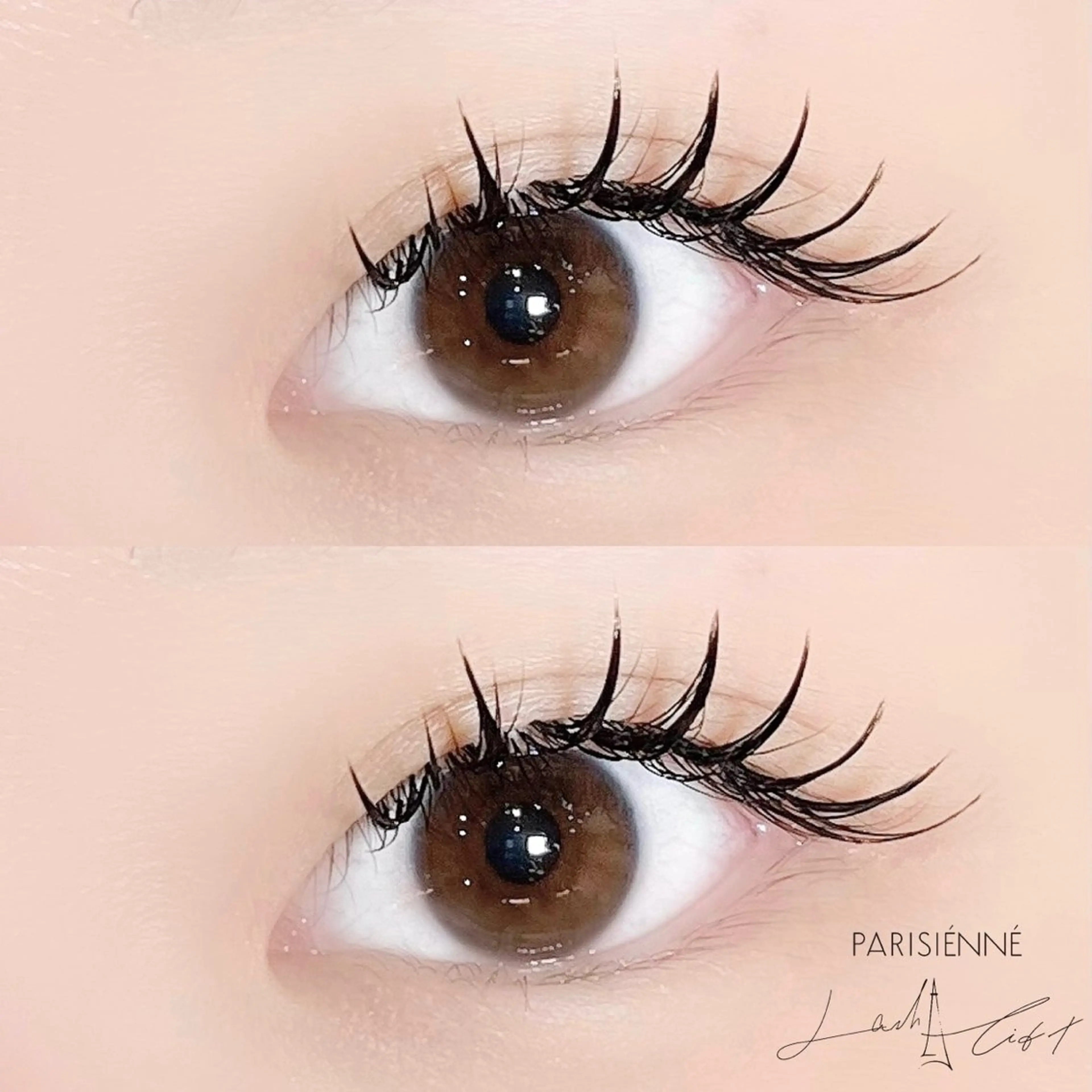 ãããšã¯ã»ããã Cã«ãŒã« sola: neoliveçç°ã®ãããšã¯ã»ããããã¶ã€ã³