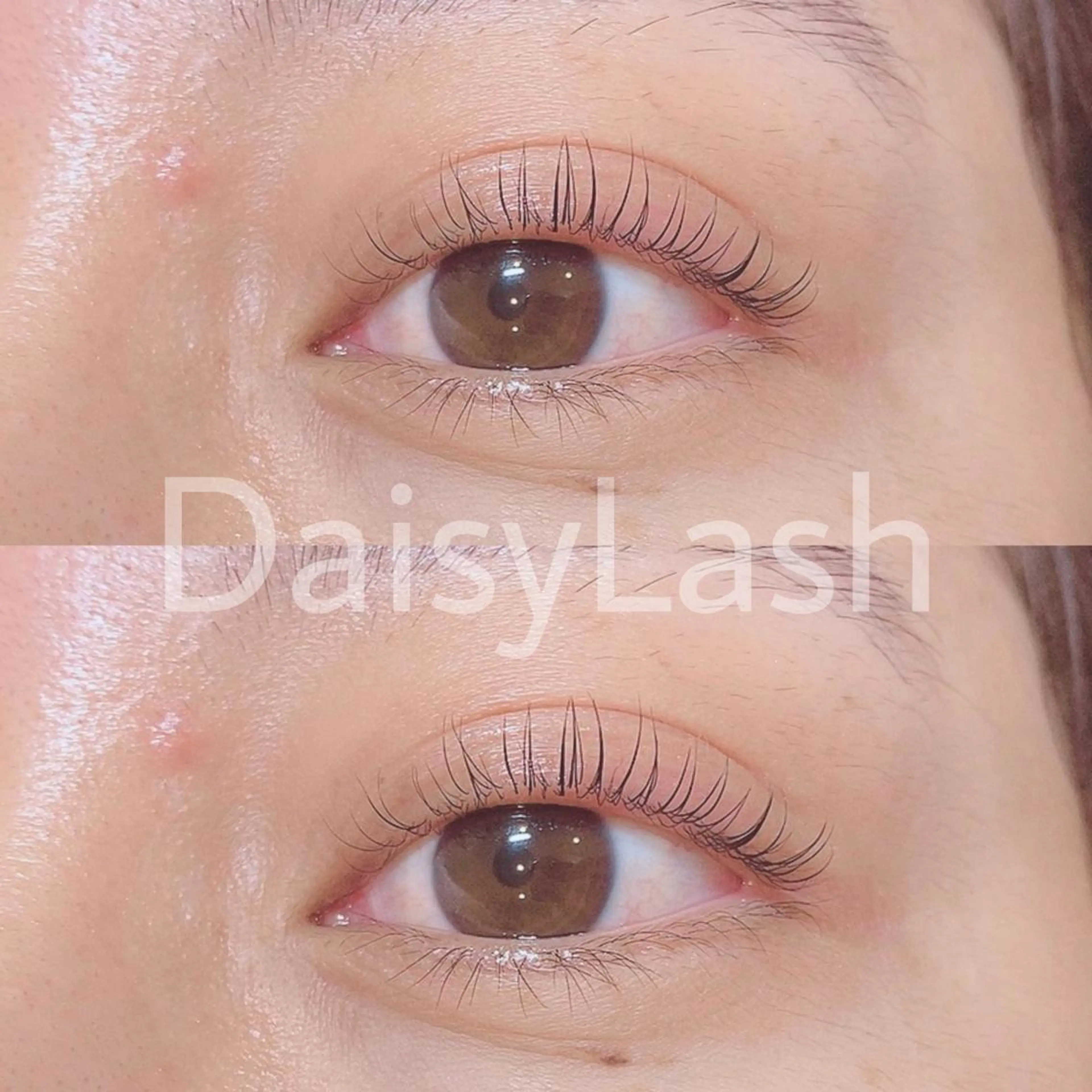 マツエク・マツパ DaisyLash 京橋店のマツエク・マツパデザイン