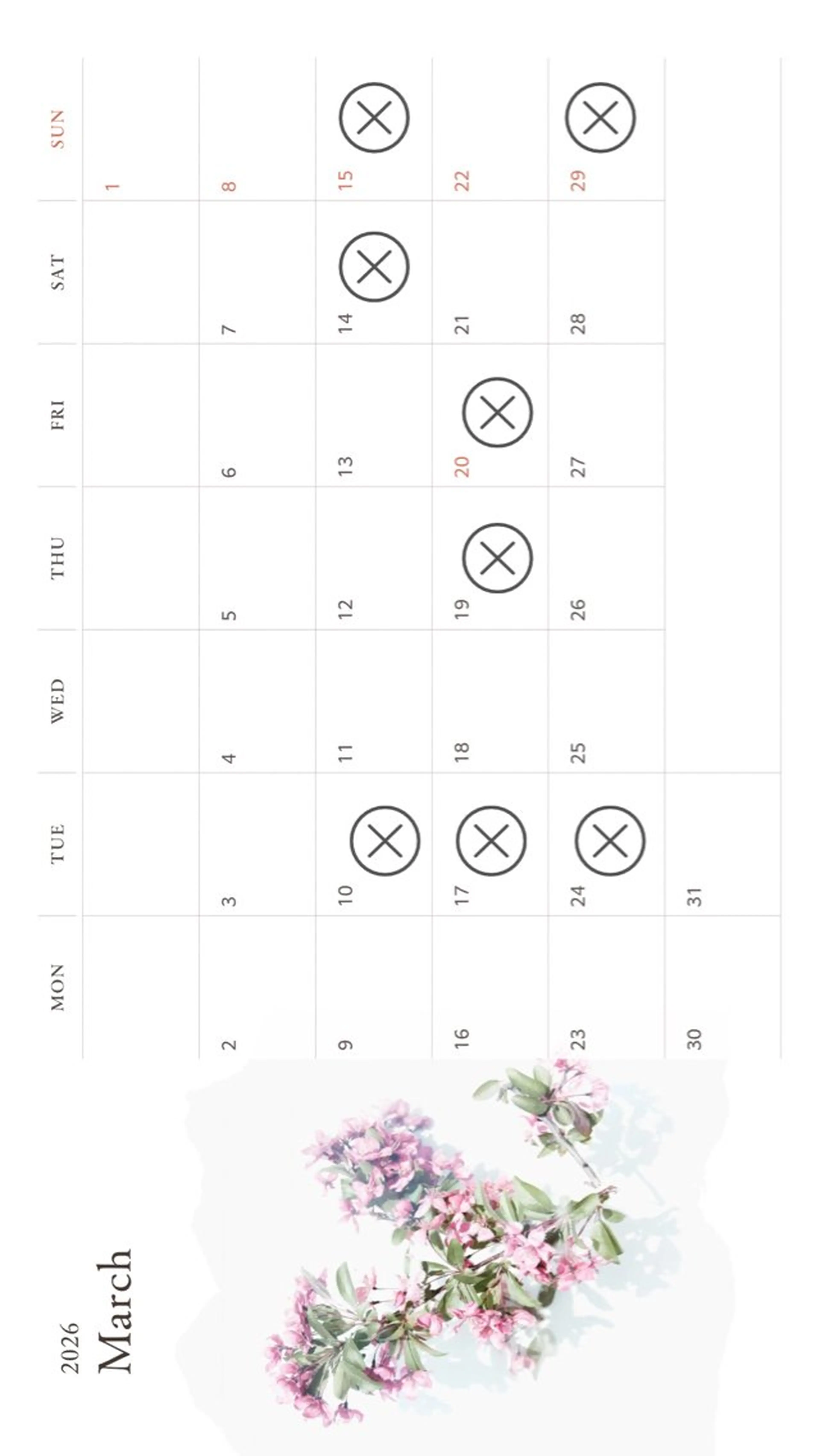 アイブロウ ワックス脱毛 その他(アイブロウ) eyelash presh yukaのマツエク・マツパデザイン