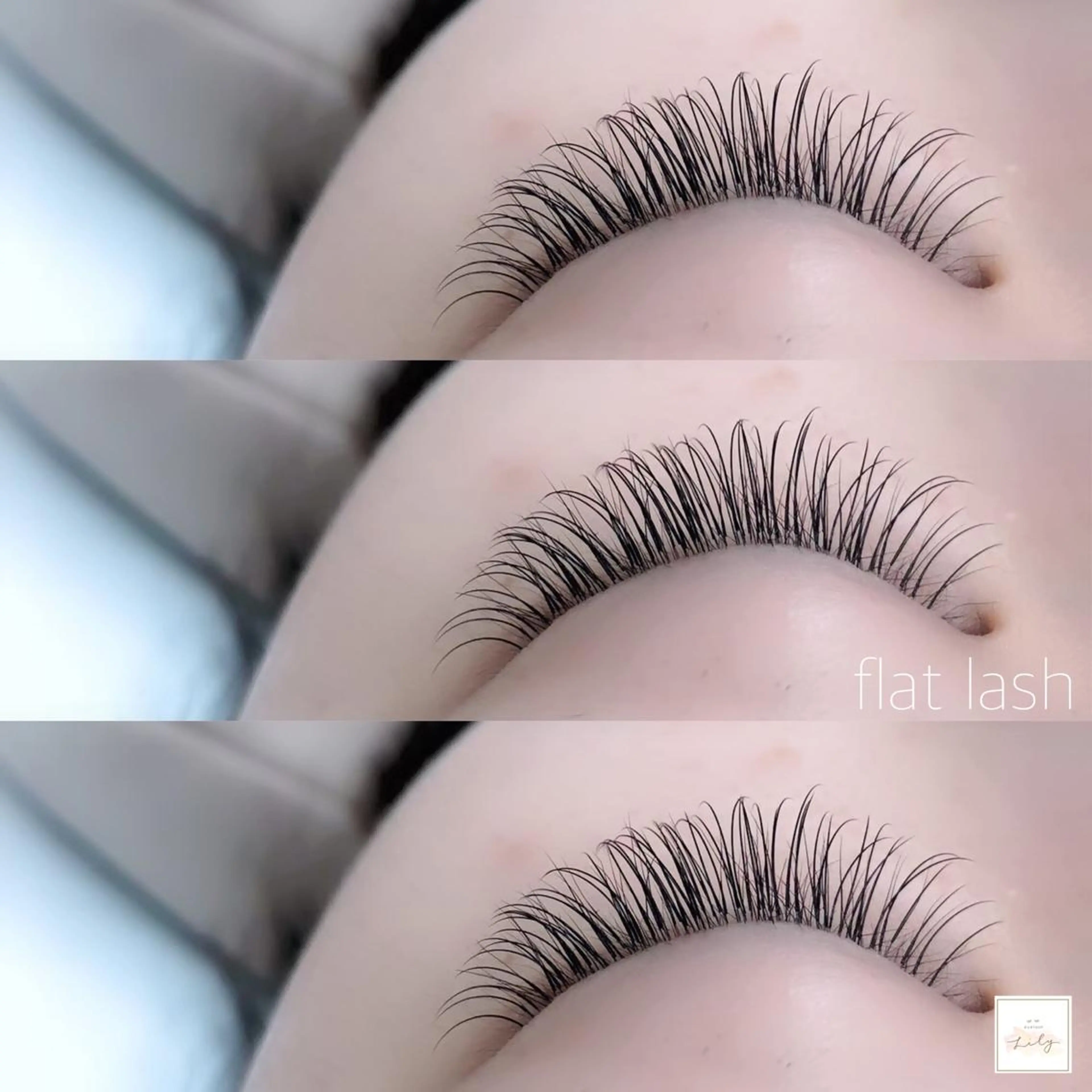 Wフラットラッシュ👀120束の写真