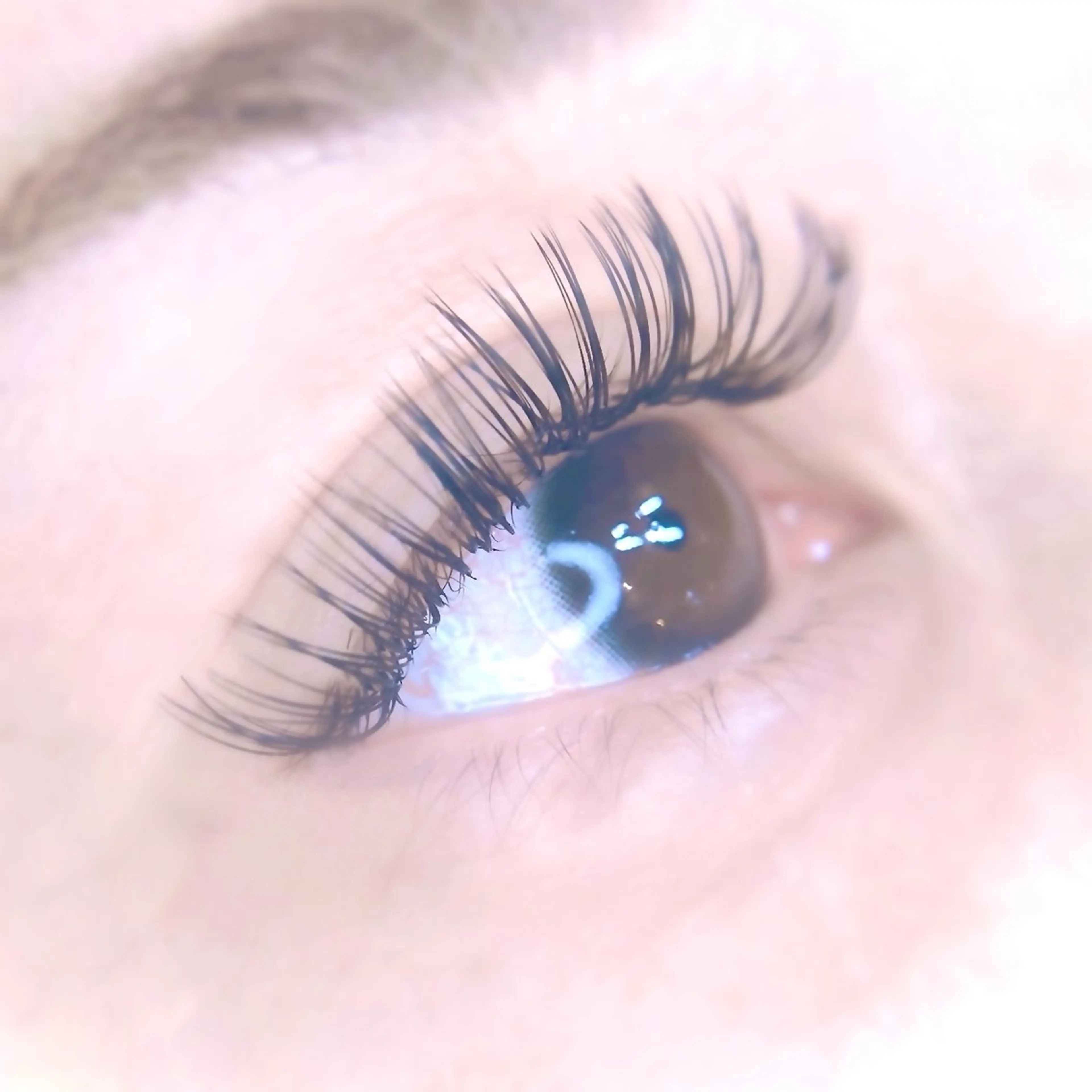 🍒バインドロック80束(総数240本)🍒 🌸追加料金無し🌸モチは通常エクステの1.5倍❕下記説明必読❣️の写真