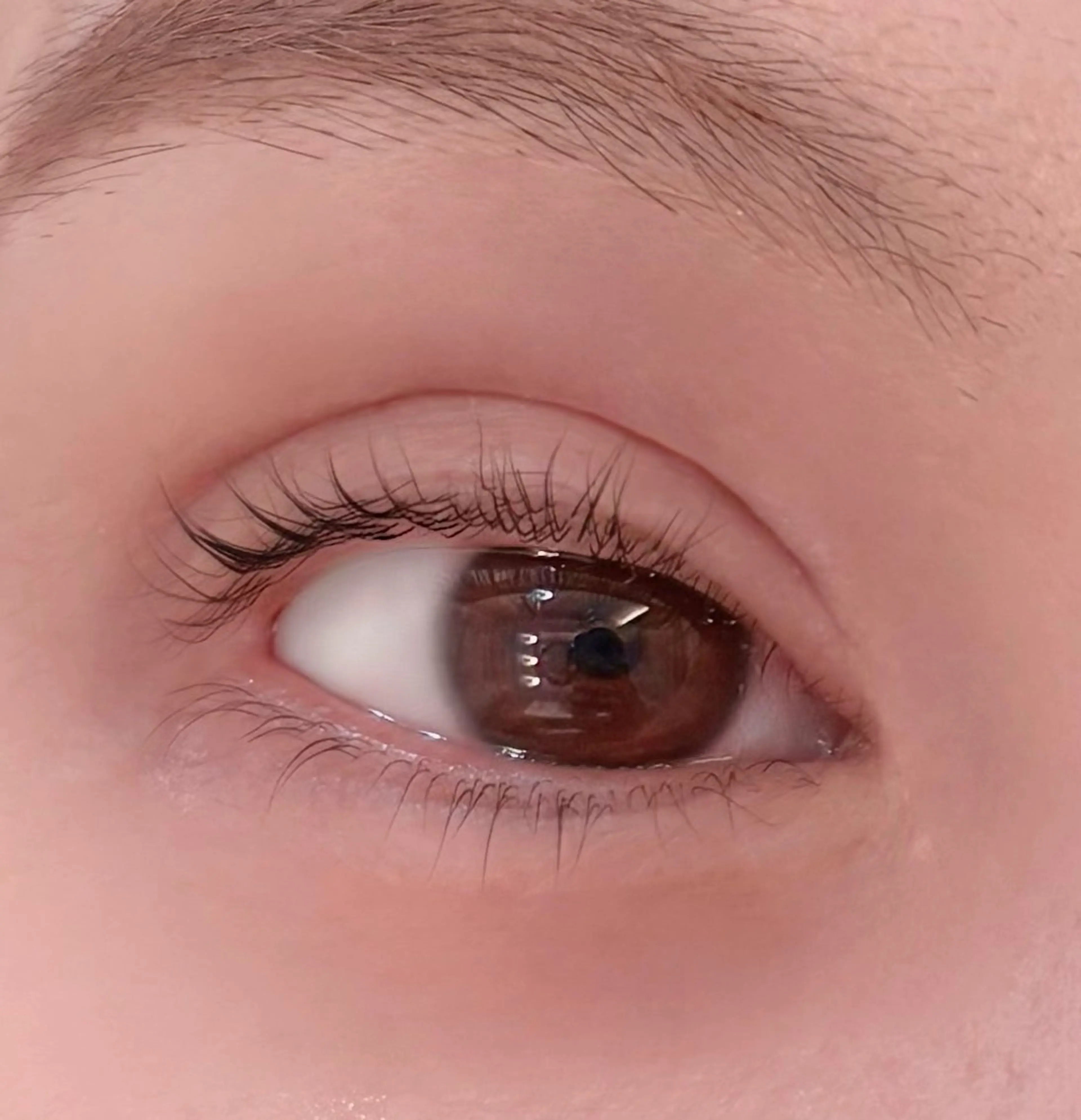 下まつ毛パーマ✨/中顔面短縮✨の写真